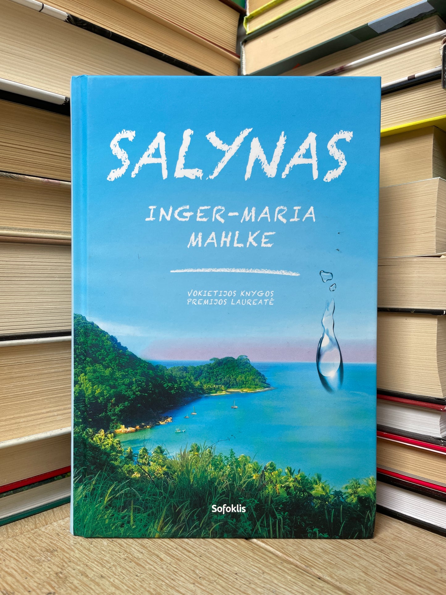 Inger-Maria Mahlke - ,,Salynas"