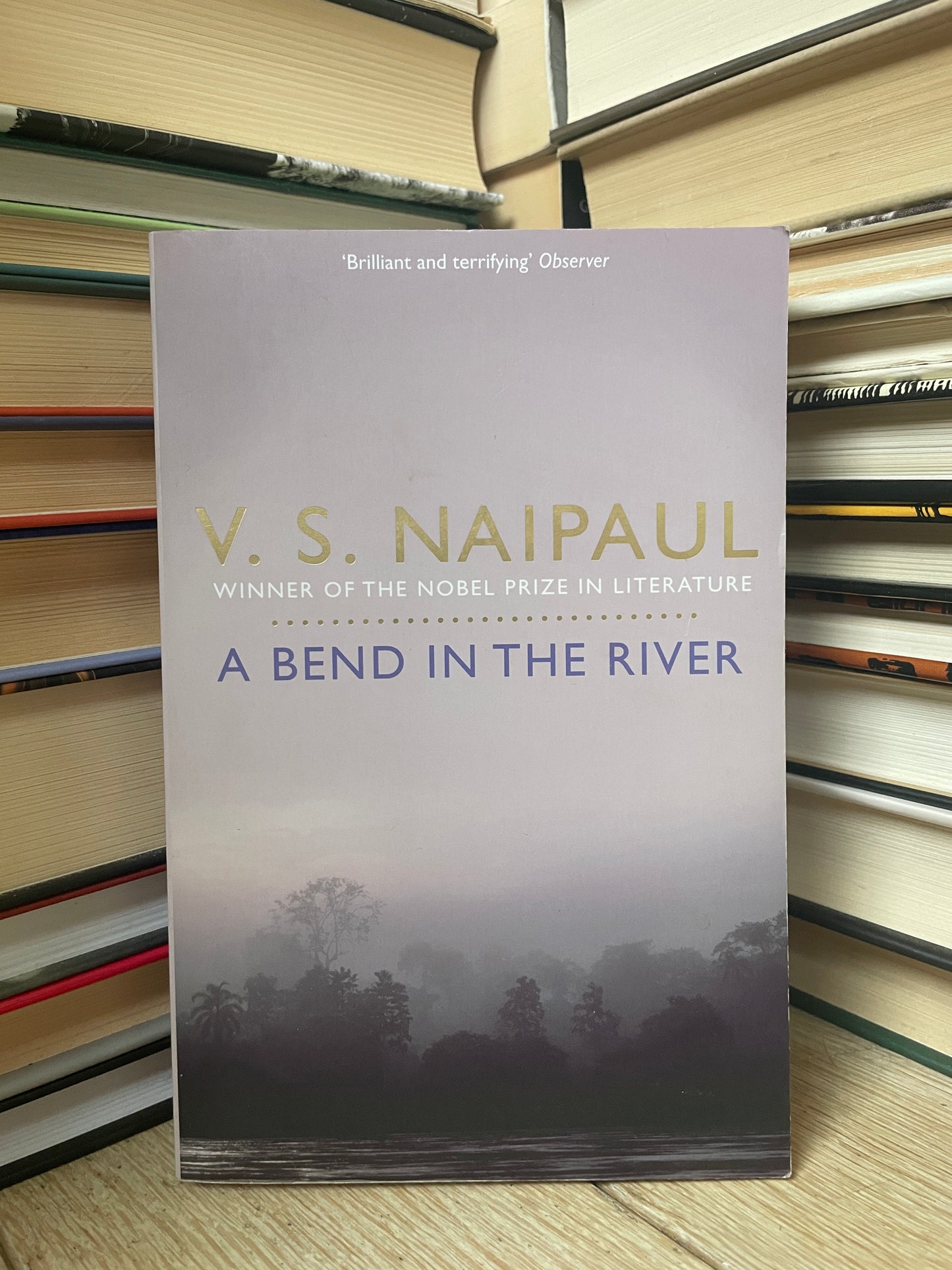 V. S. Naipaul - Bend in the River