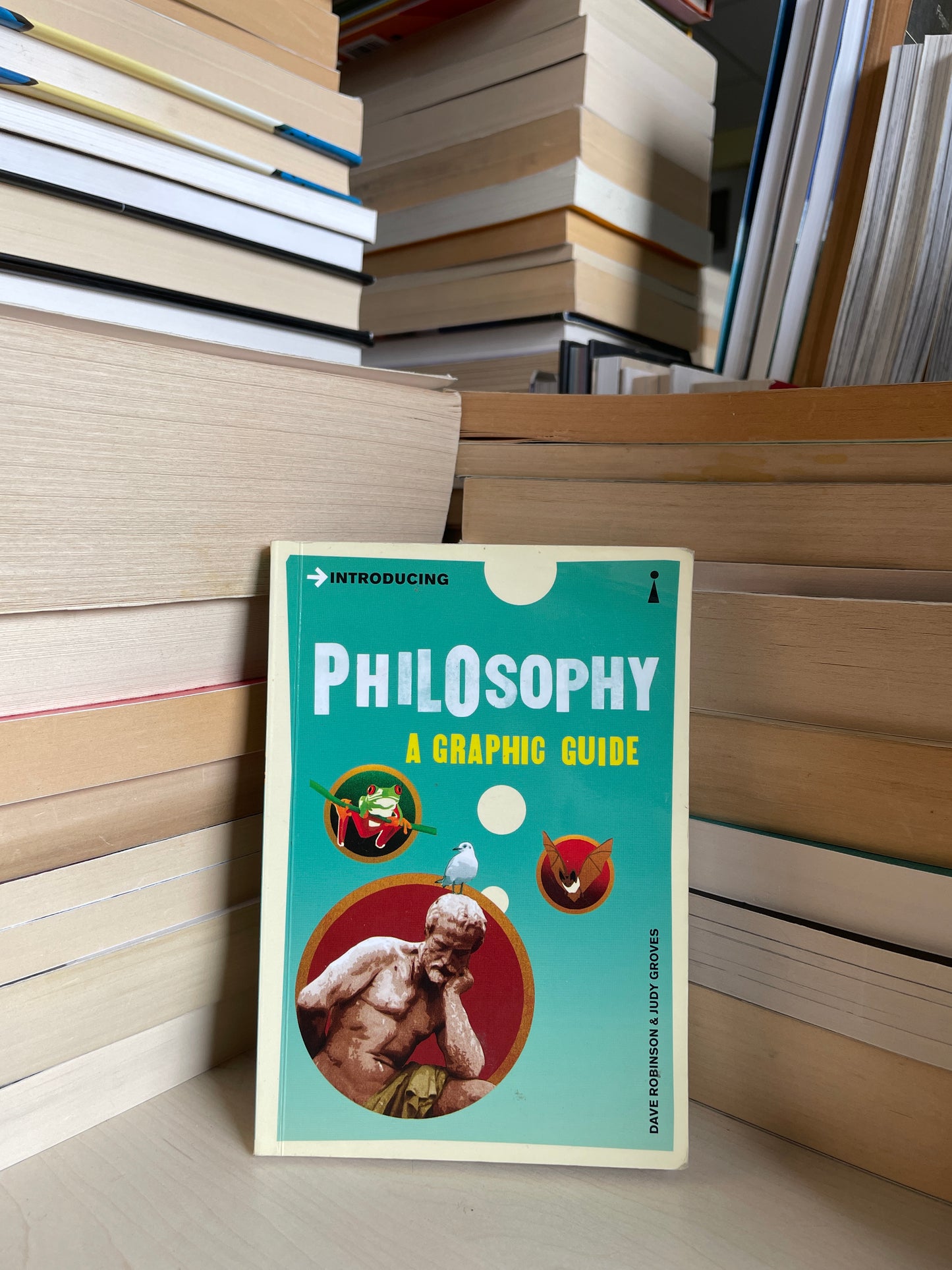 Dave Robinson, Judy Groves - Introducing Philosophy: A Graphic Guide