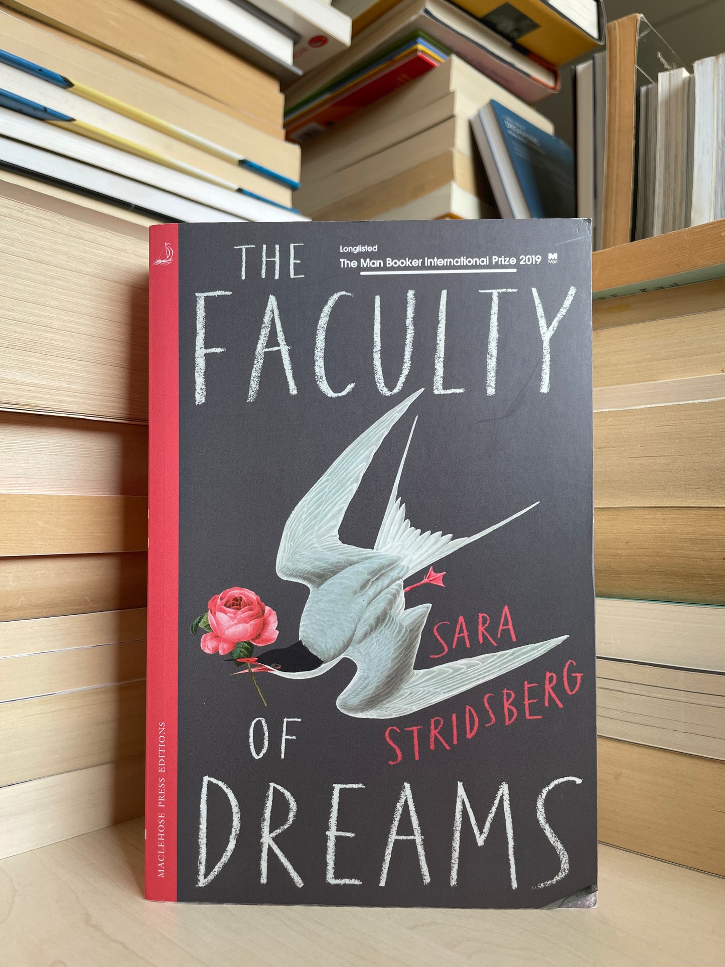 Sara Stridsberg - The Faculty of Dreams