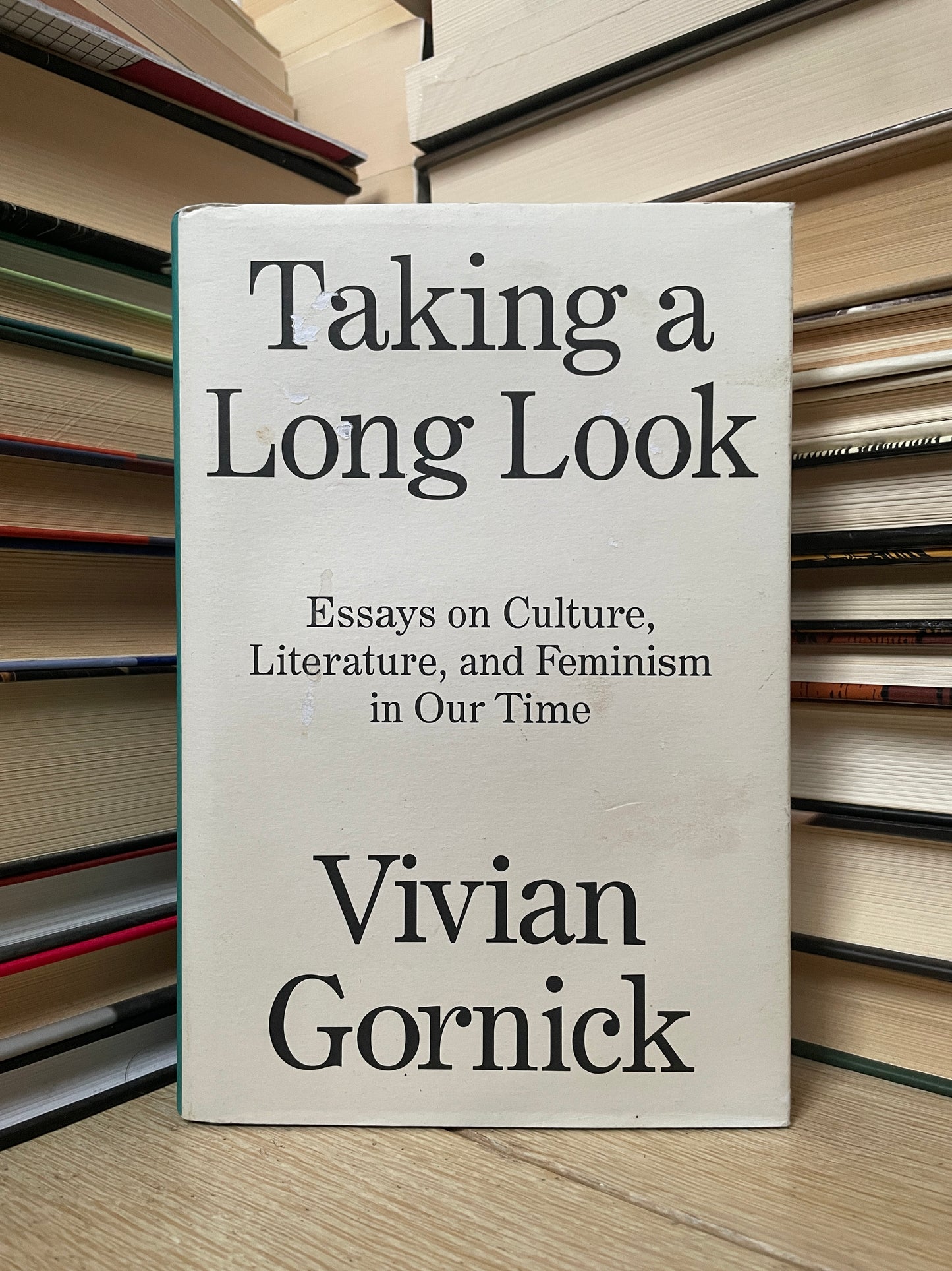 Vivian Gornick - Taking a Long Look