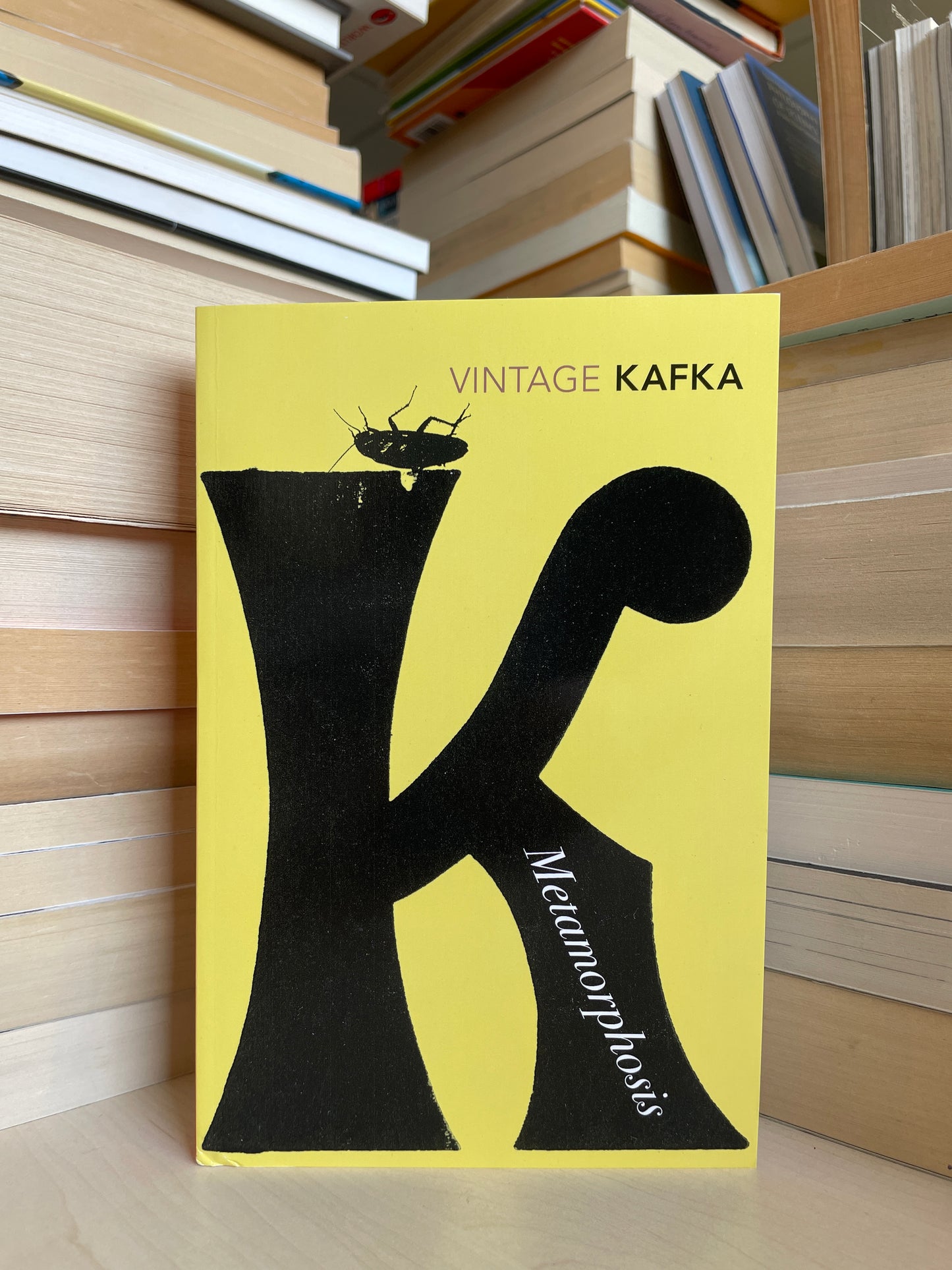 Franz Kafka - Metamorphosis (NAUJA)