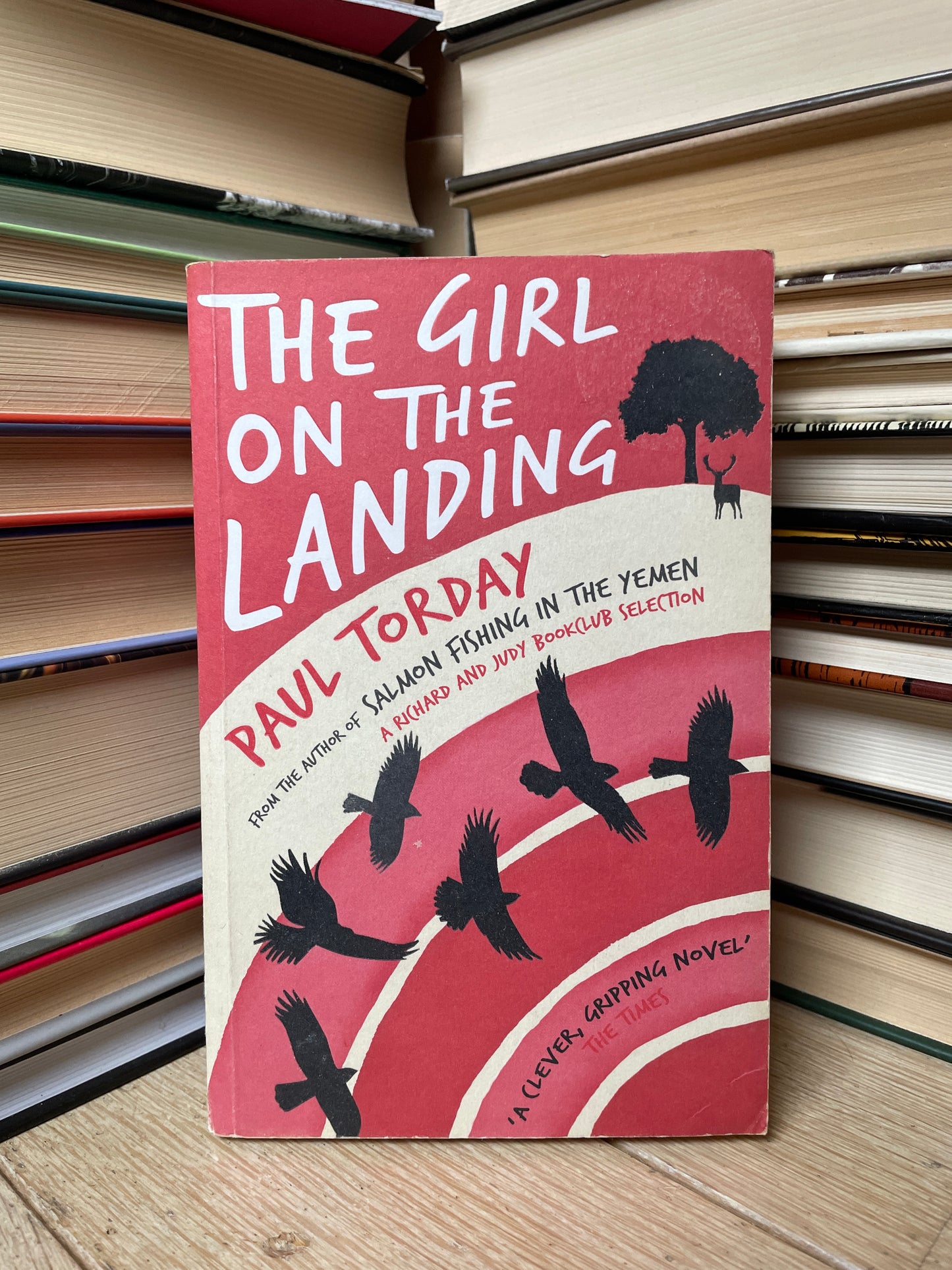 Paul Torday - The Girl on the Landing