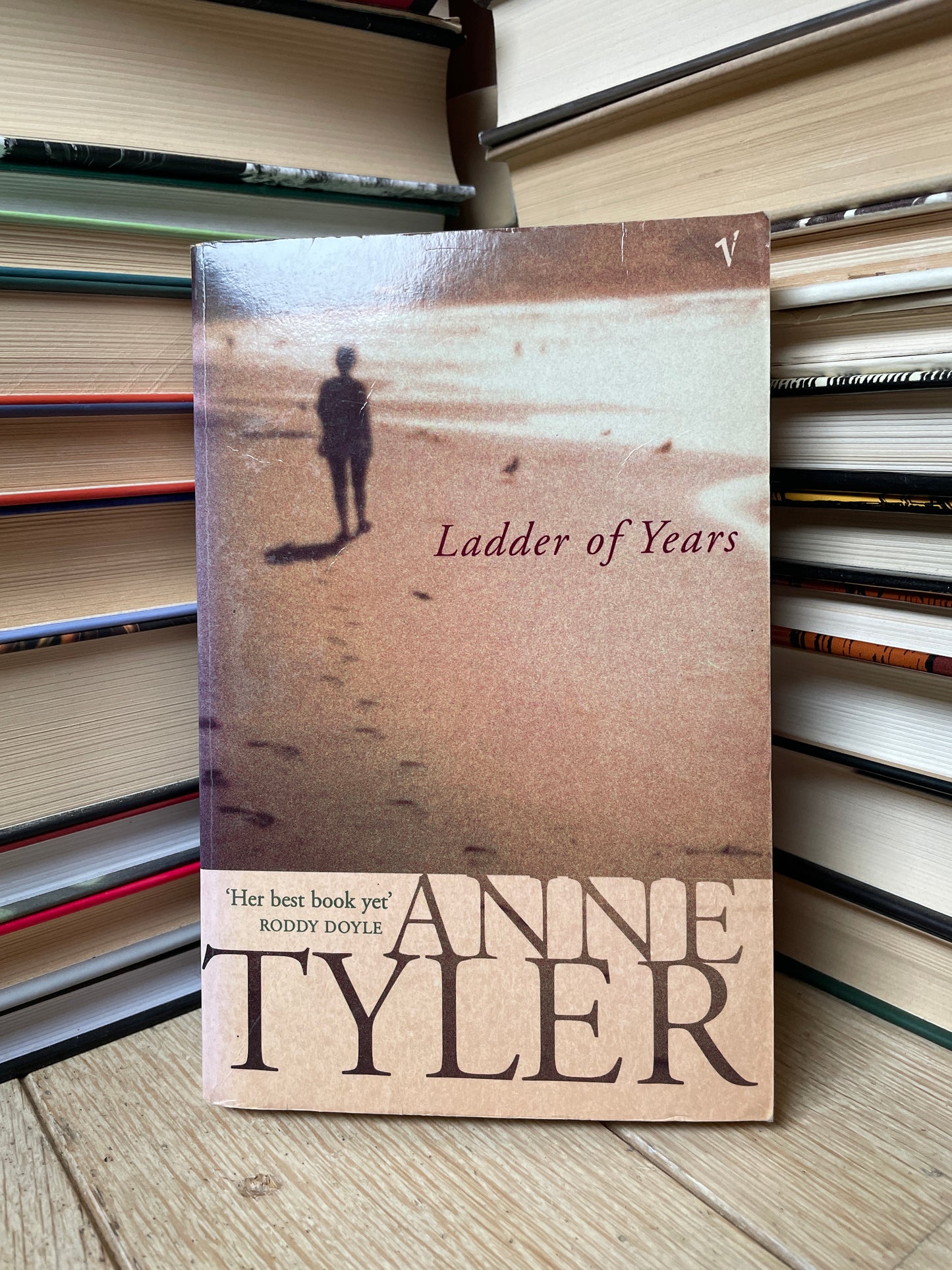 Anne Tyler - Ladder of Years