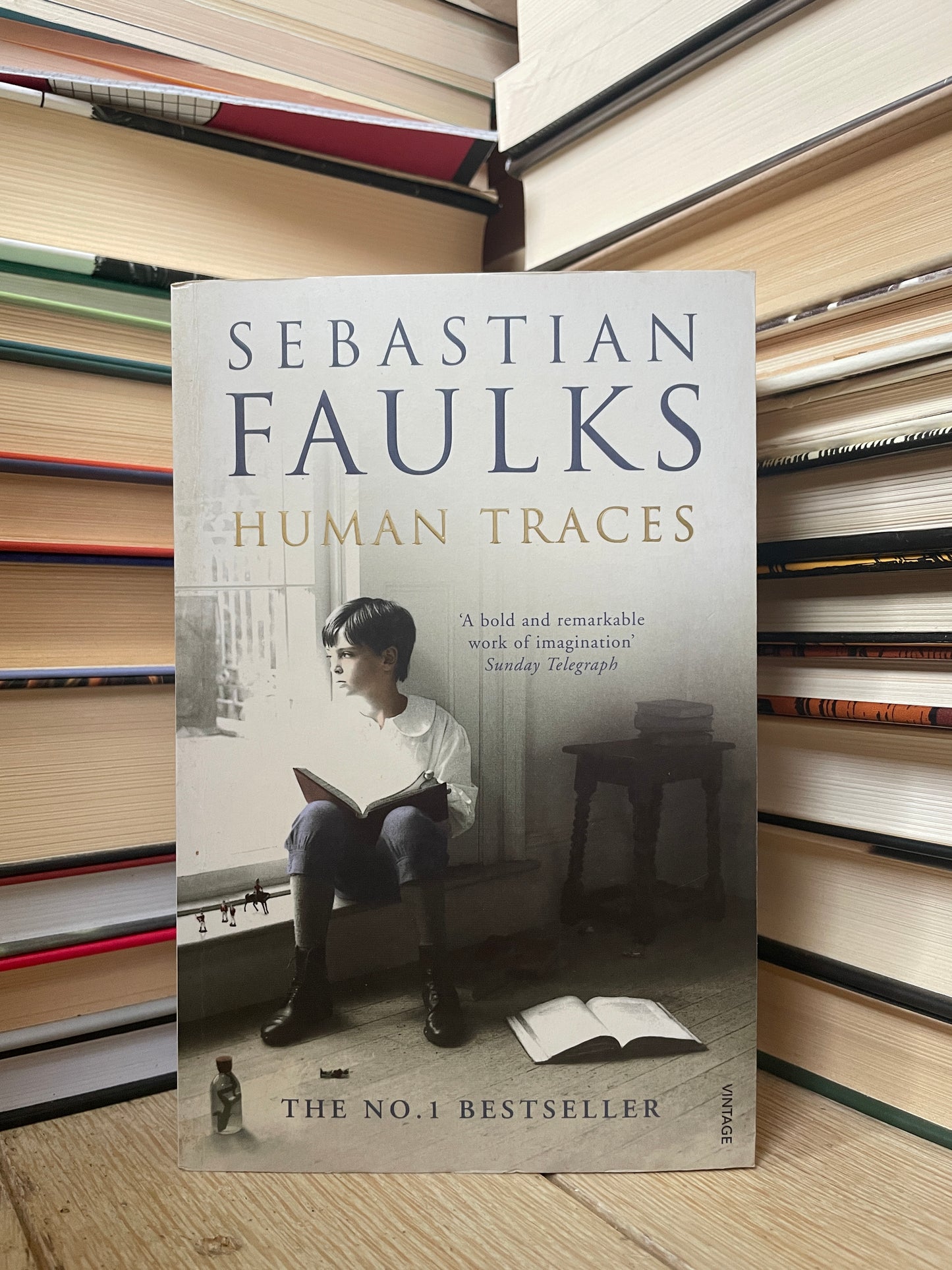 Sebastian Faulks - Human Traces