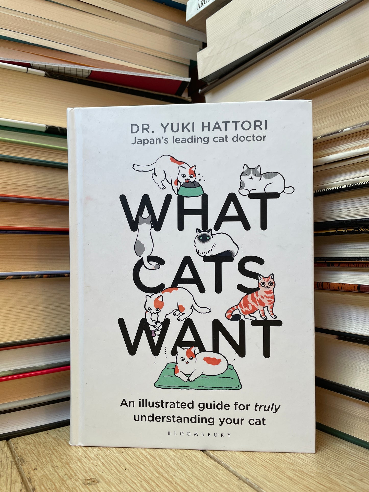 Yuki Hattori - What Cats Want