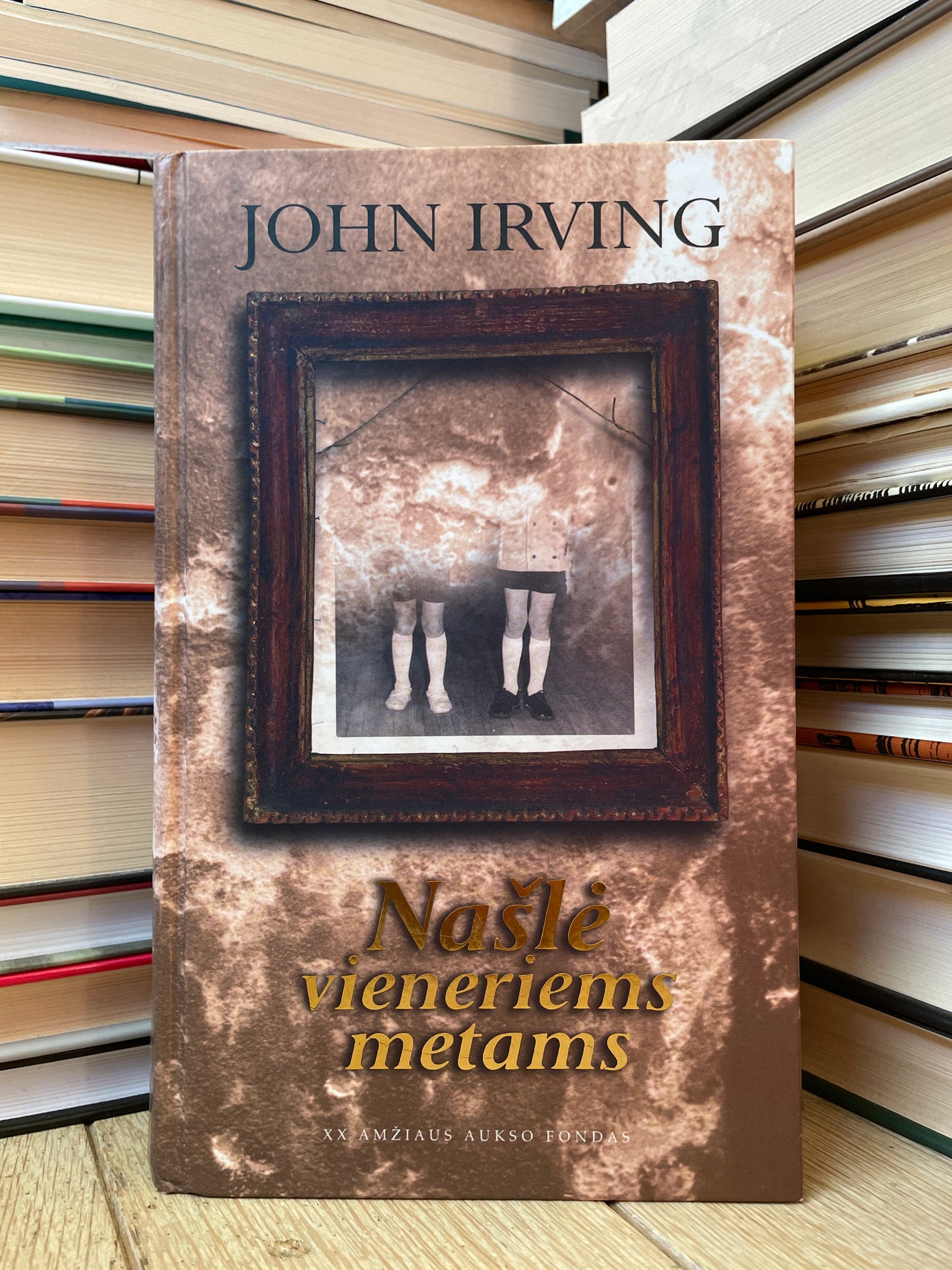 John Irving - ,,Našlė vieneriems metams"