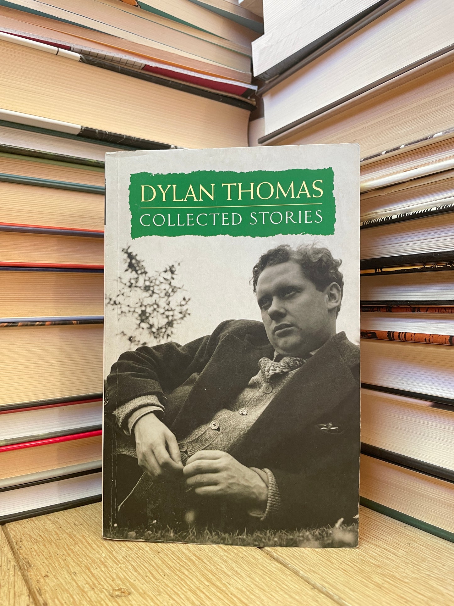 Dylan Thomas - Selected Stories