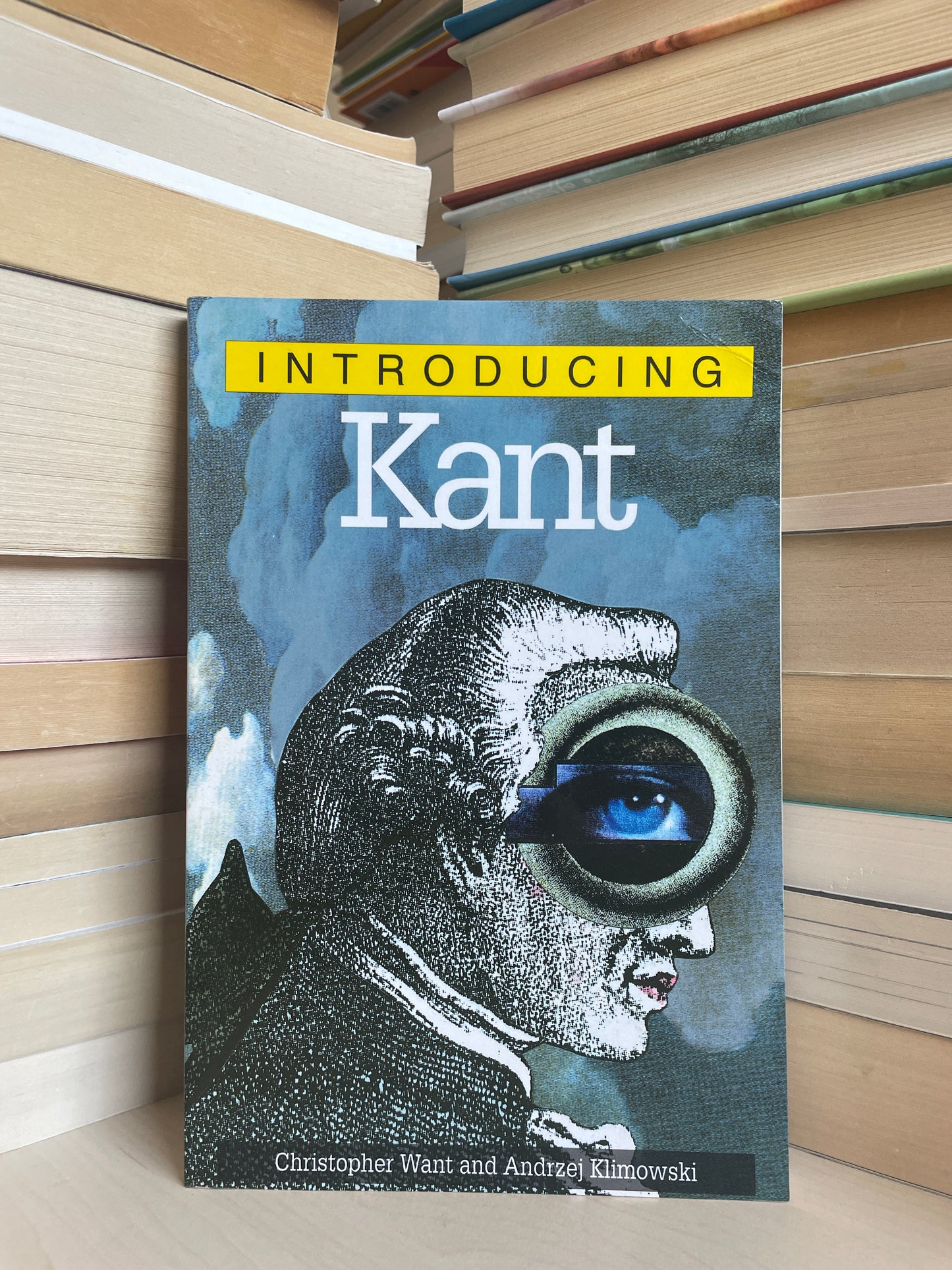 Christopher Want, Andrzej Klimowski - Introducing Kant: A Graphic Guide