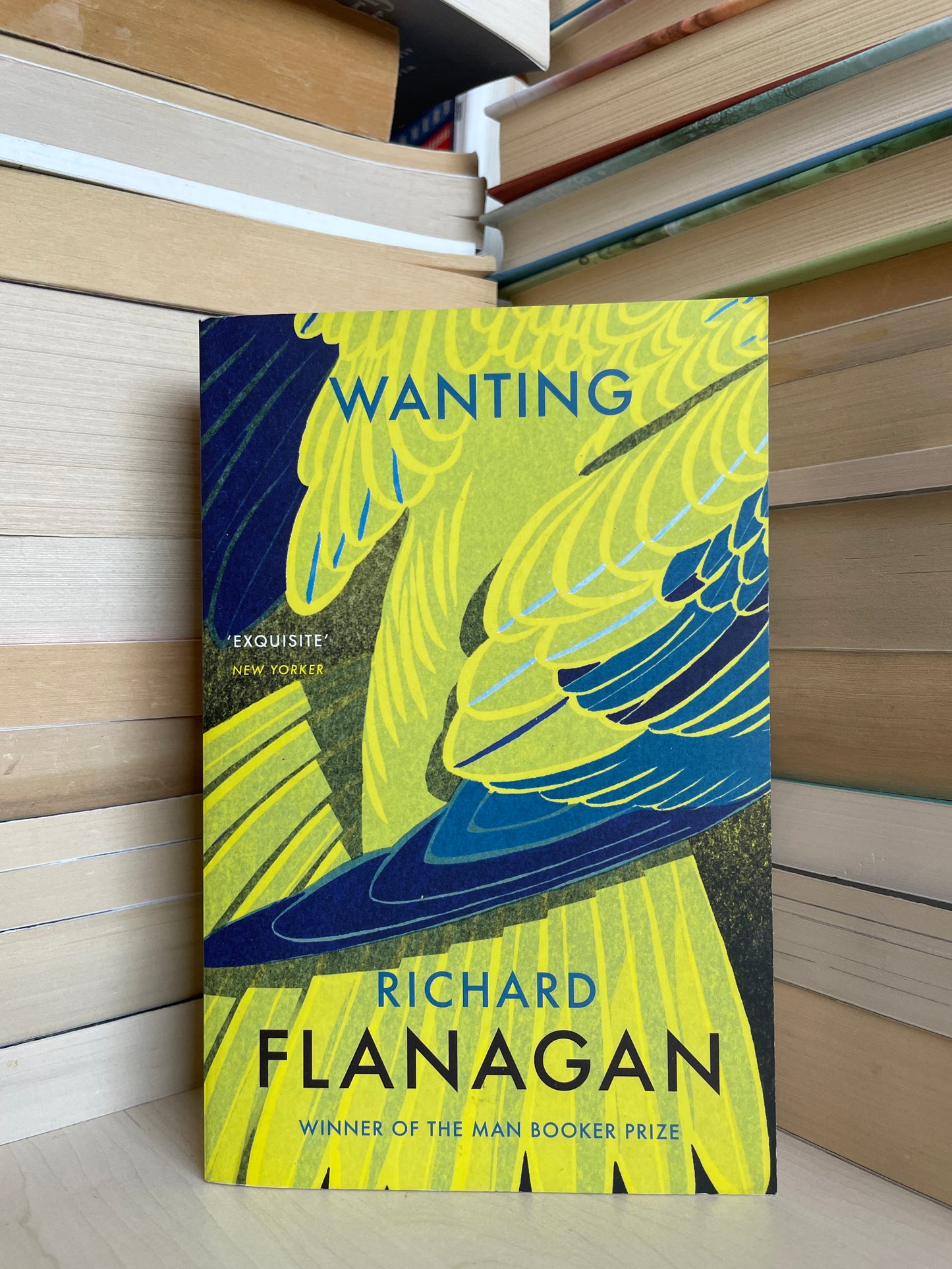 Richard Flanagan - Wanting