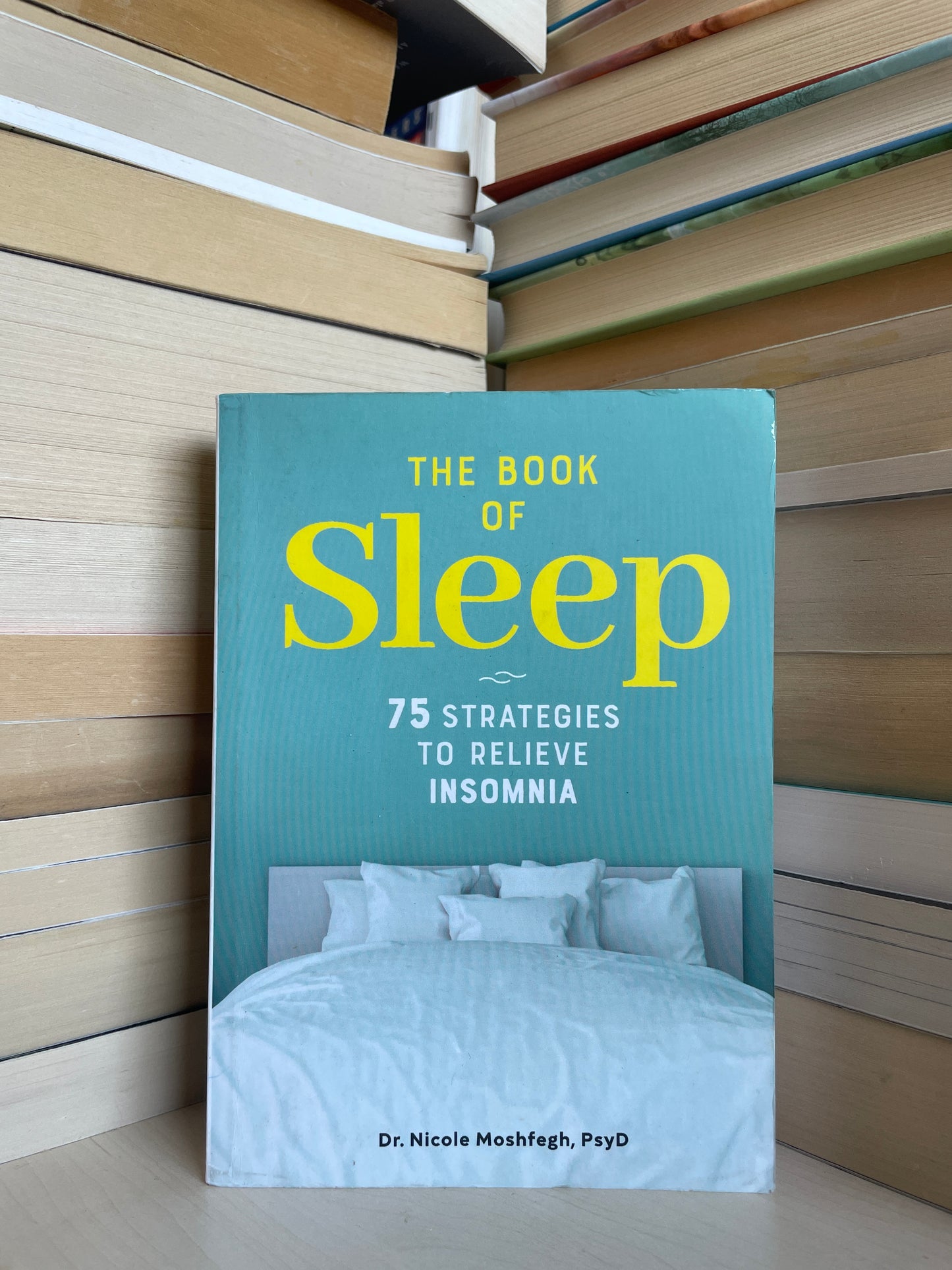 Nicole Moshfegh - The Book of Sleep