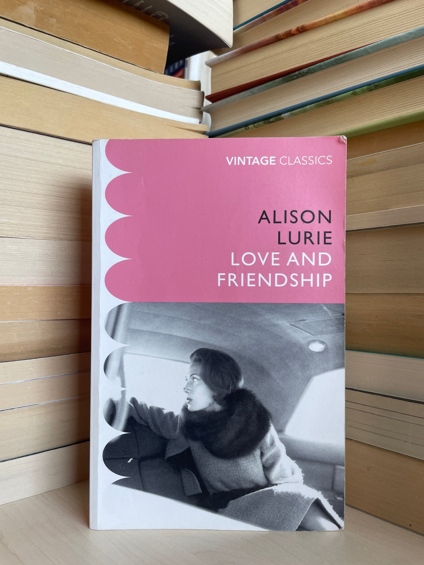 Alison Lurie - Love and Friendship