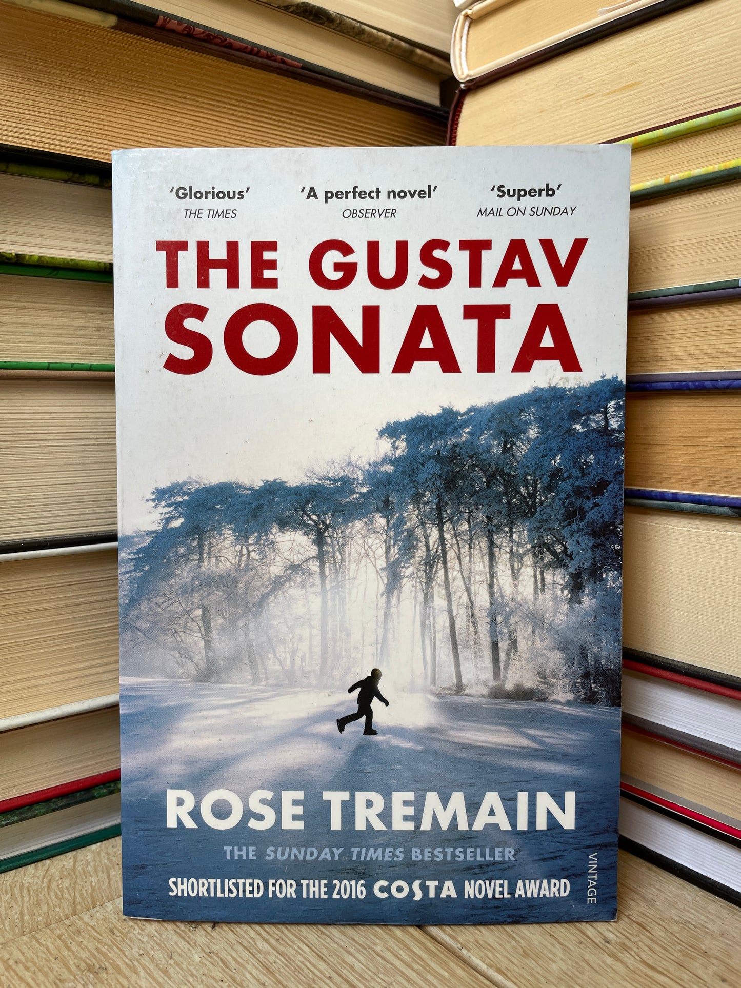 Rose Tremain - The Gustav Sonata