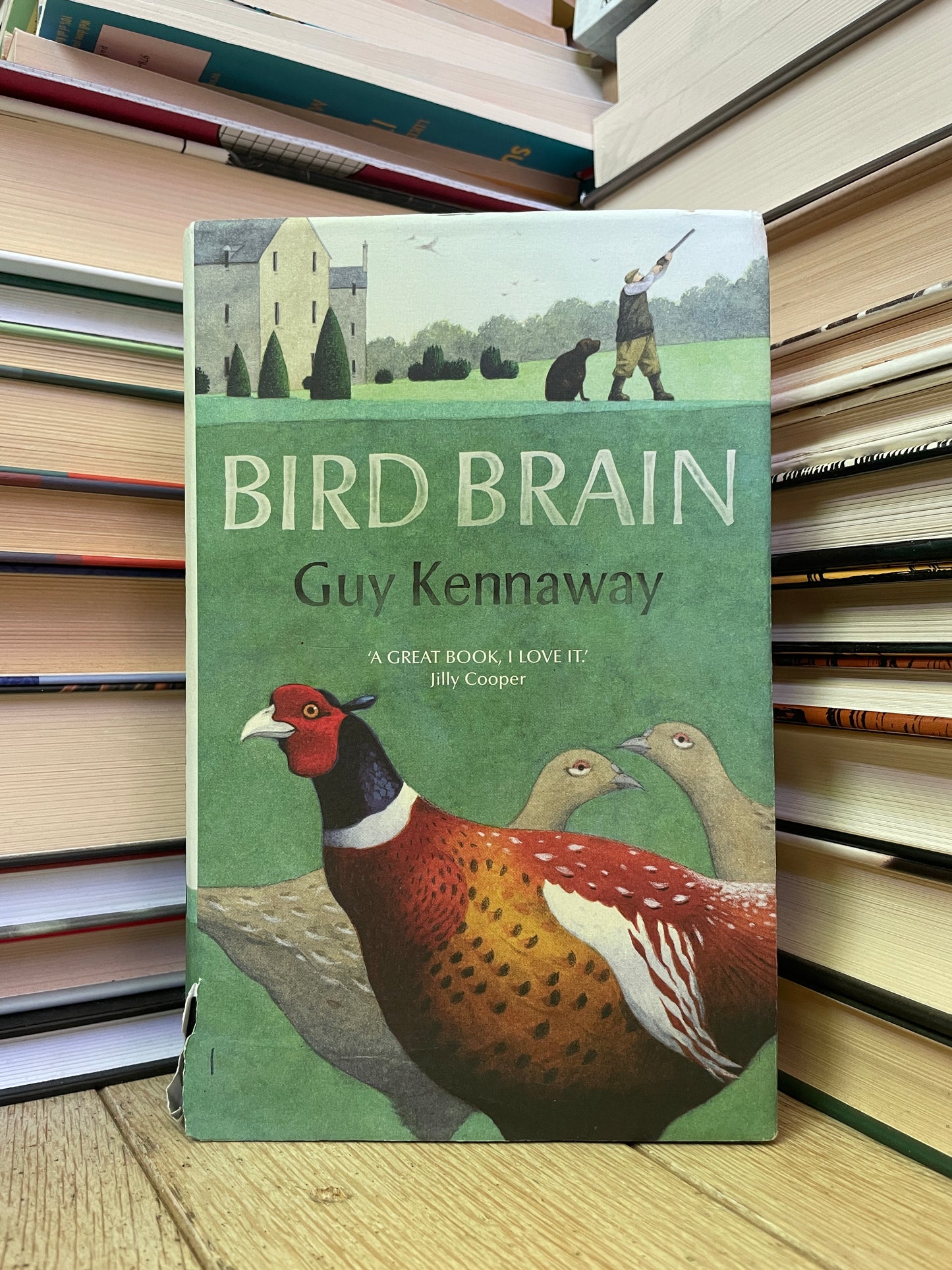 Guy Kennaway - Bird Brain