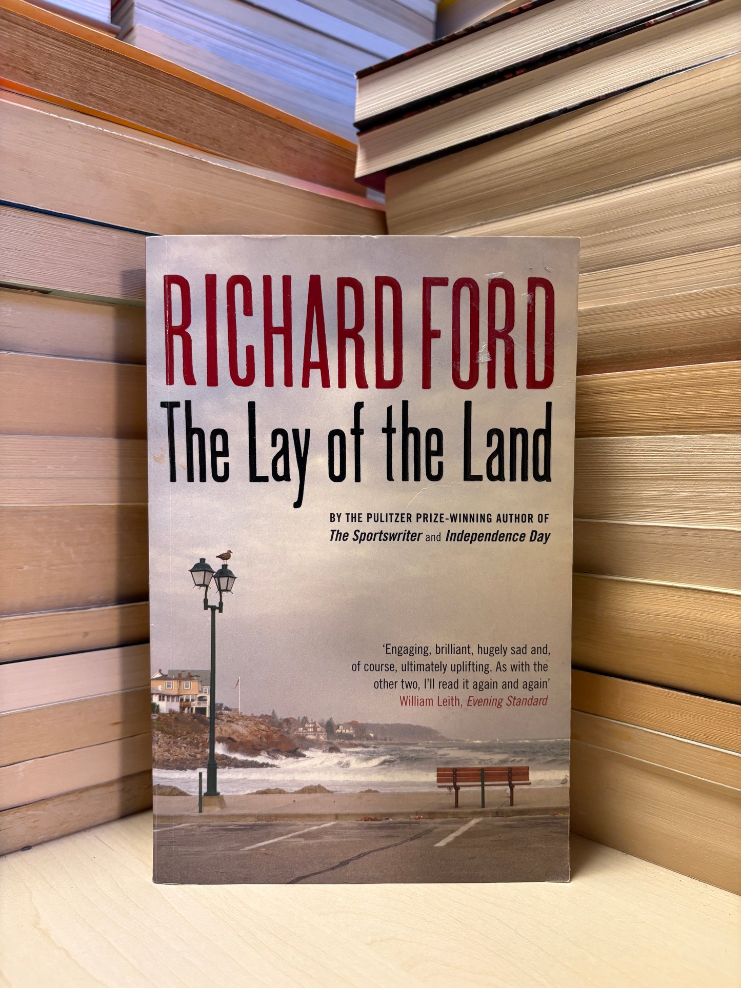 Richard Ford - The Lay of the Land