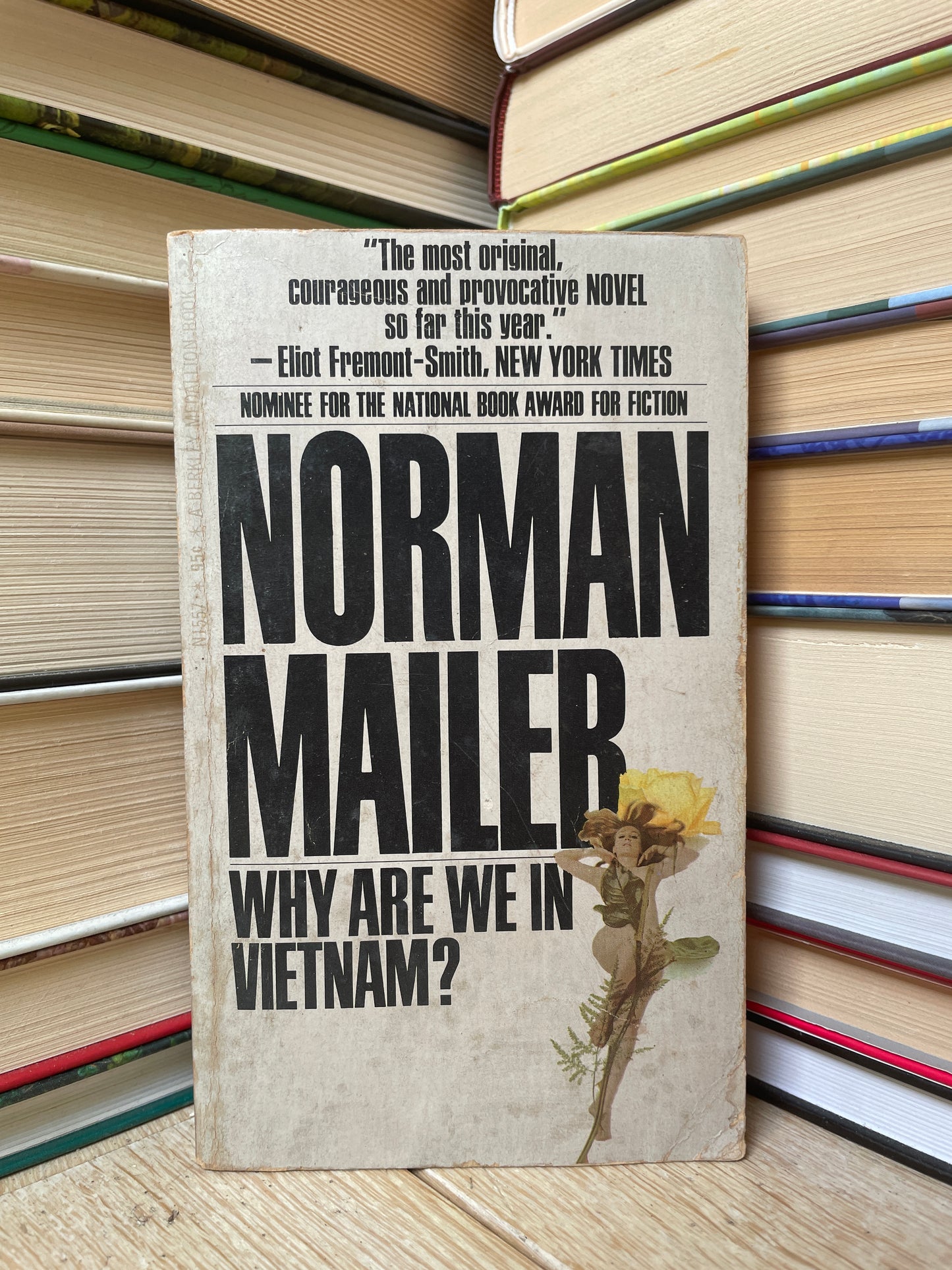 Norman Mailer - Why Are We in Vietnam?