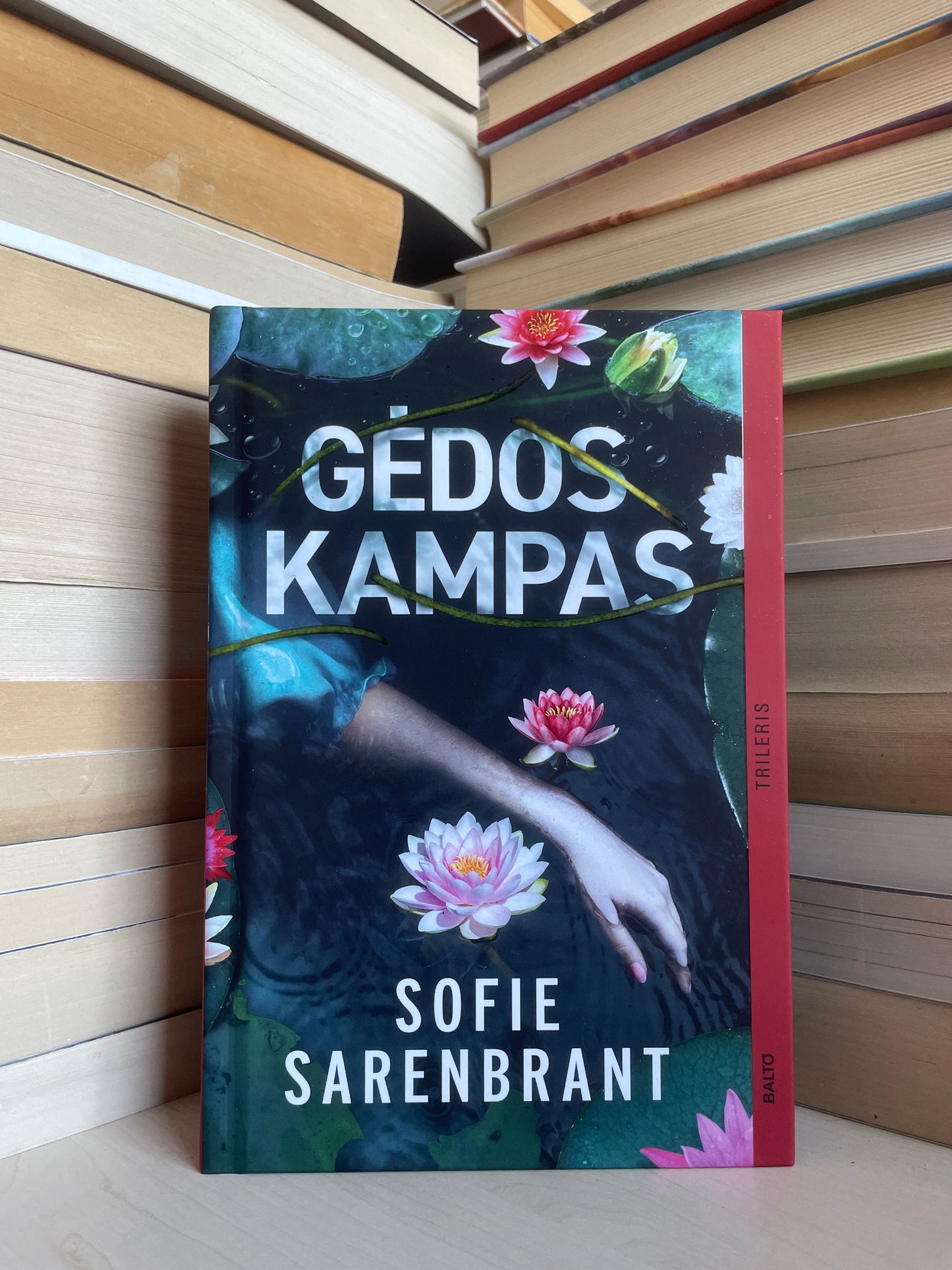 Sofie Sarenbrant - ,,Gėdos kampas"