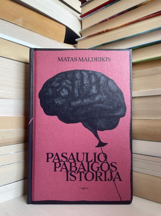 Matas Maldeikis - ,,Pasaulio pabaigos istorija"