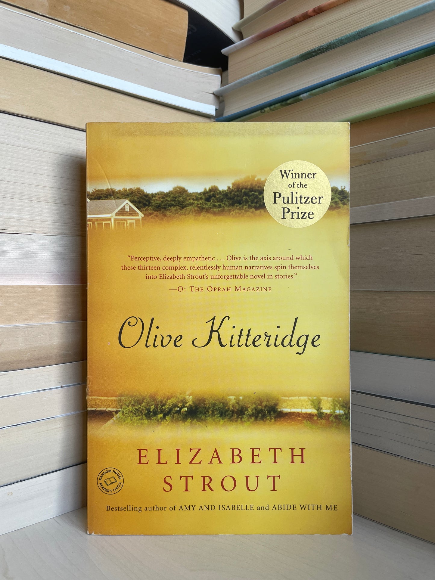 Elizabeth Strout - Olive Kitteridge