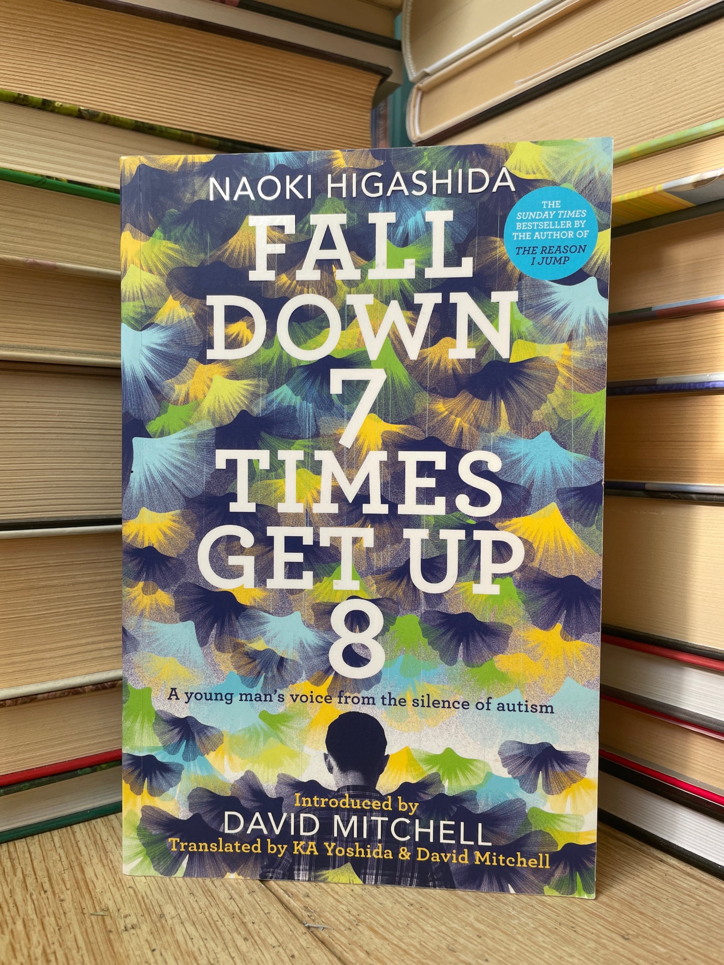 Naoki Higashida - Fall Down 7 Times Get Up 8