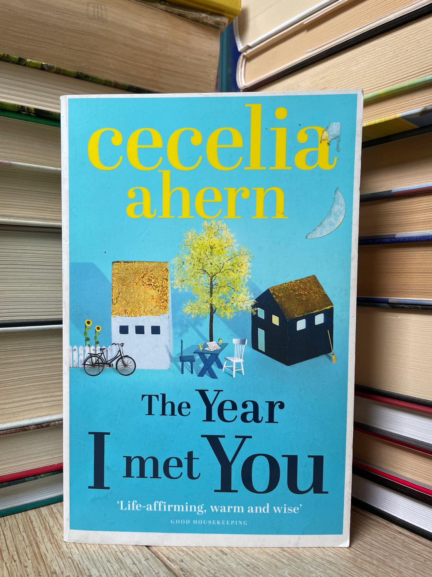 Cecelia Ahern - The Year I Met You