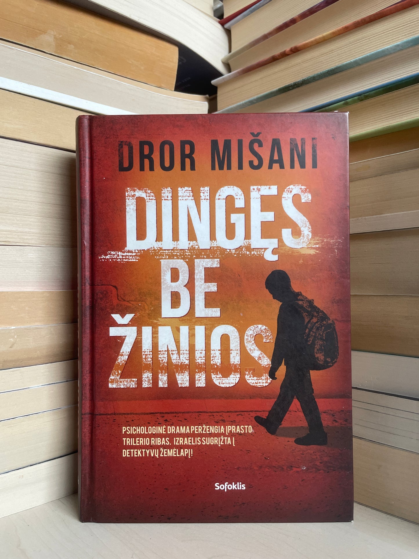 Dror Mišani - ,,Dingęs be žinios"