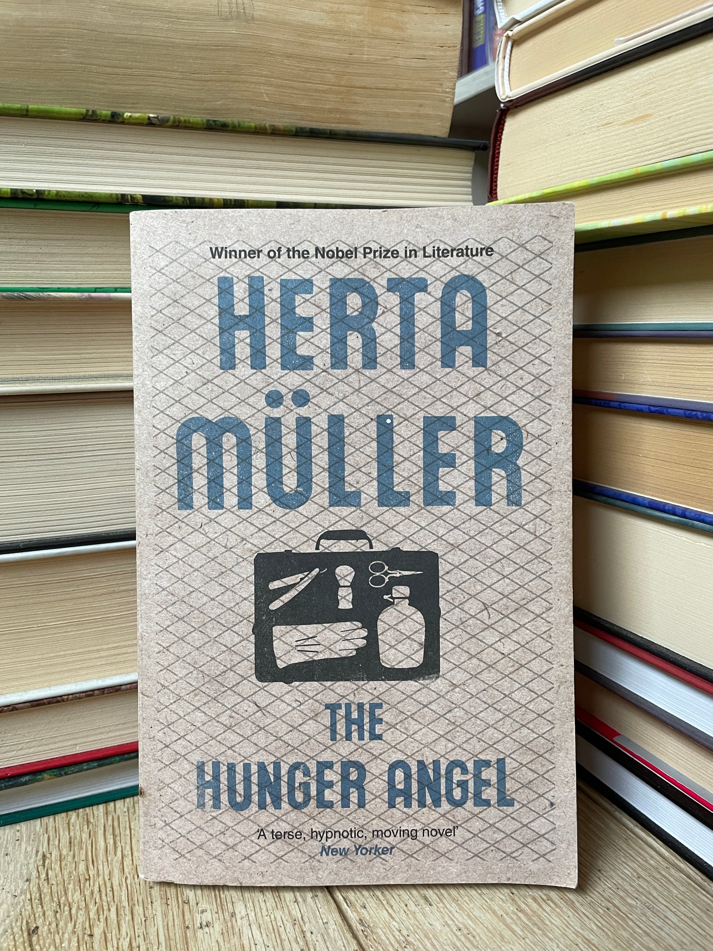 Herta Muller - The Hunger Angel