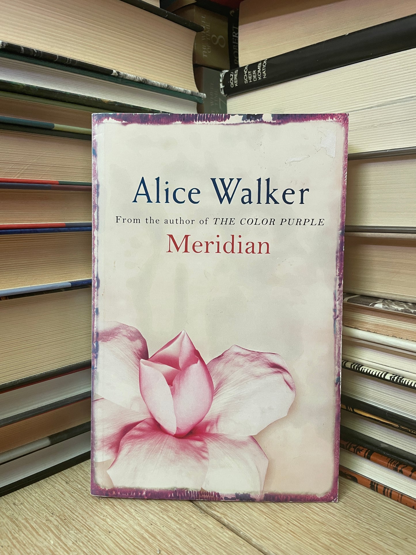 Alice Walker - Meridian