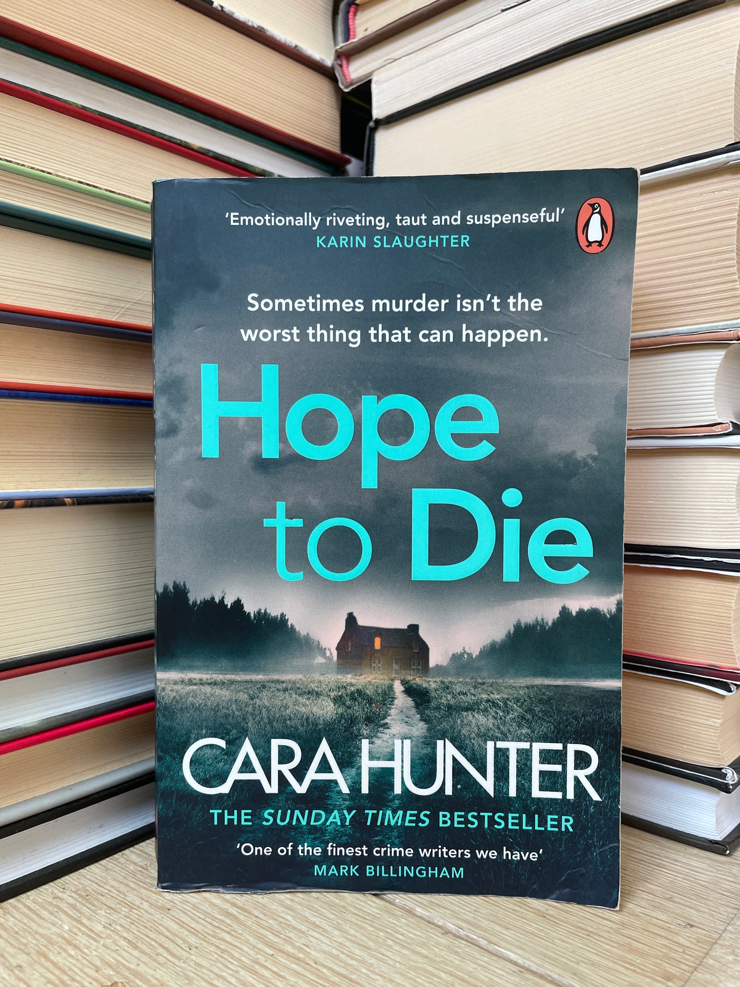 Cara Hunter - Hope to Die