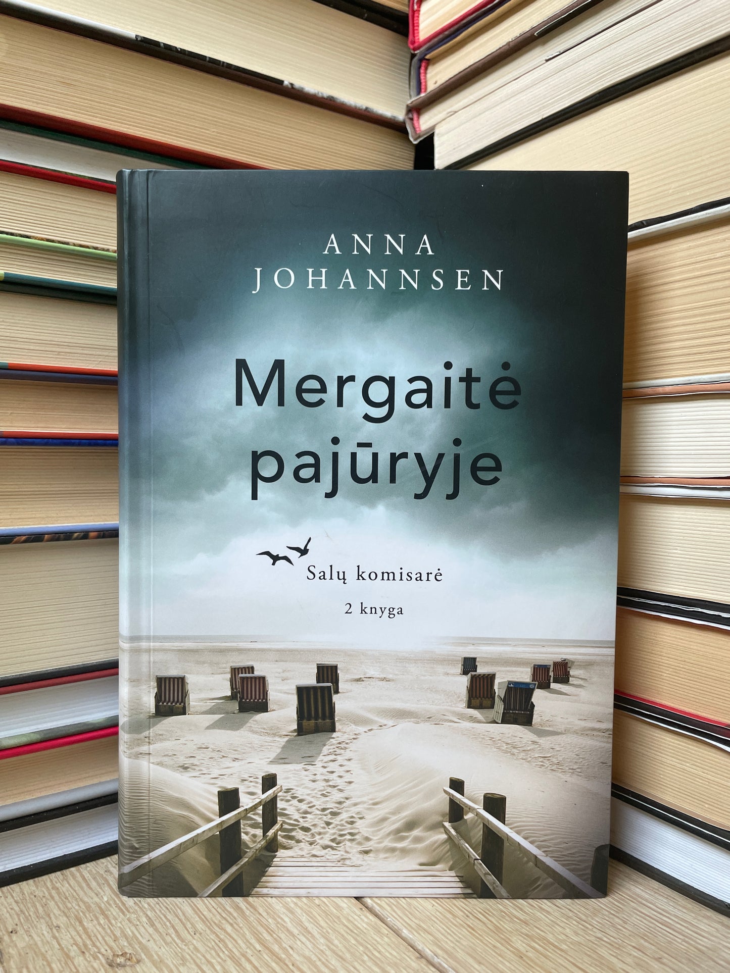 Anna Johannsen - ,,Mergaitė pajūryje"