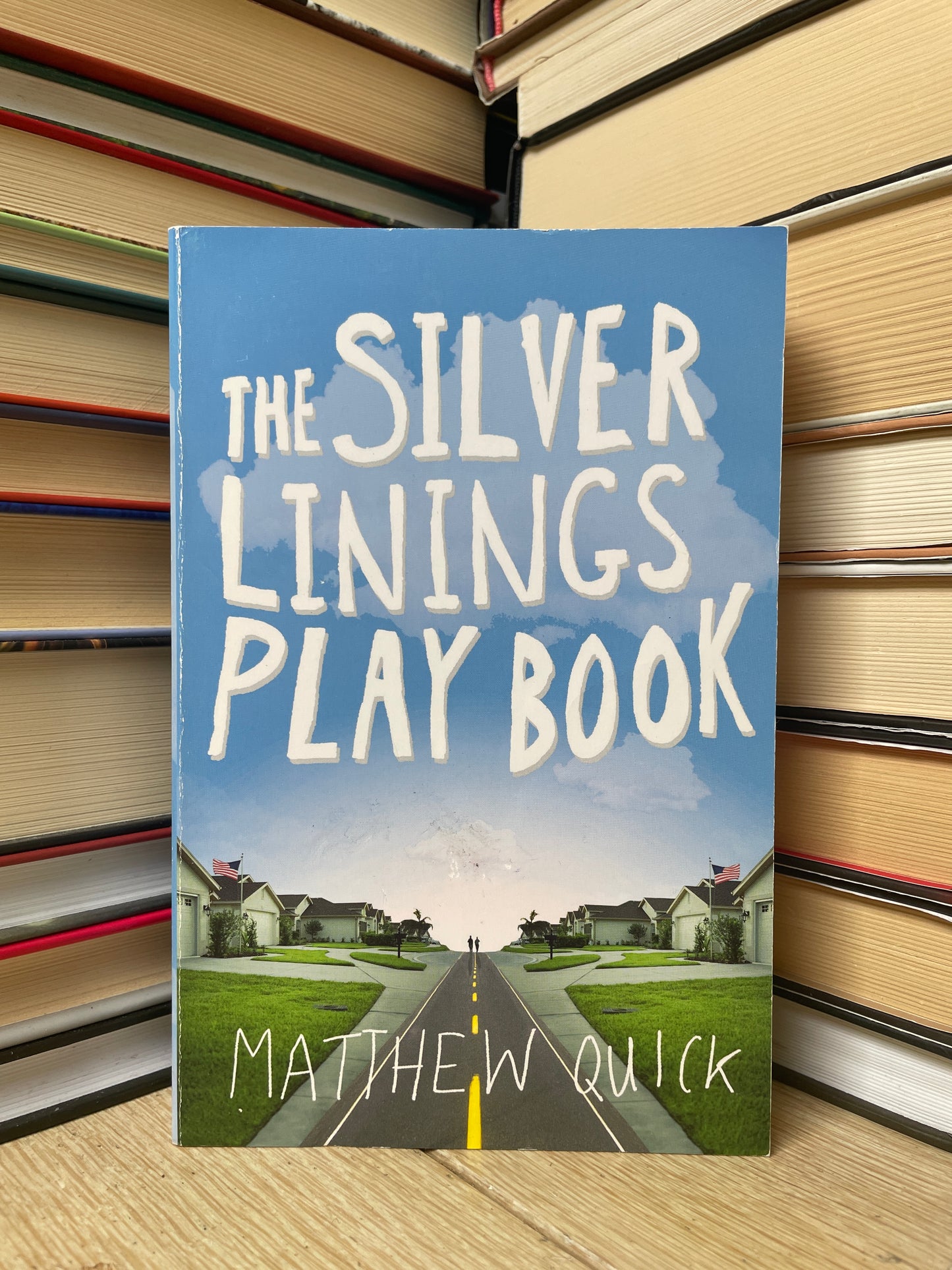 Matthew Quick - The Silver Linings Play Book