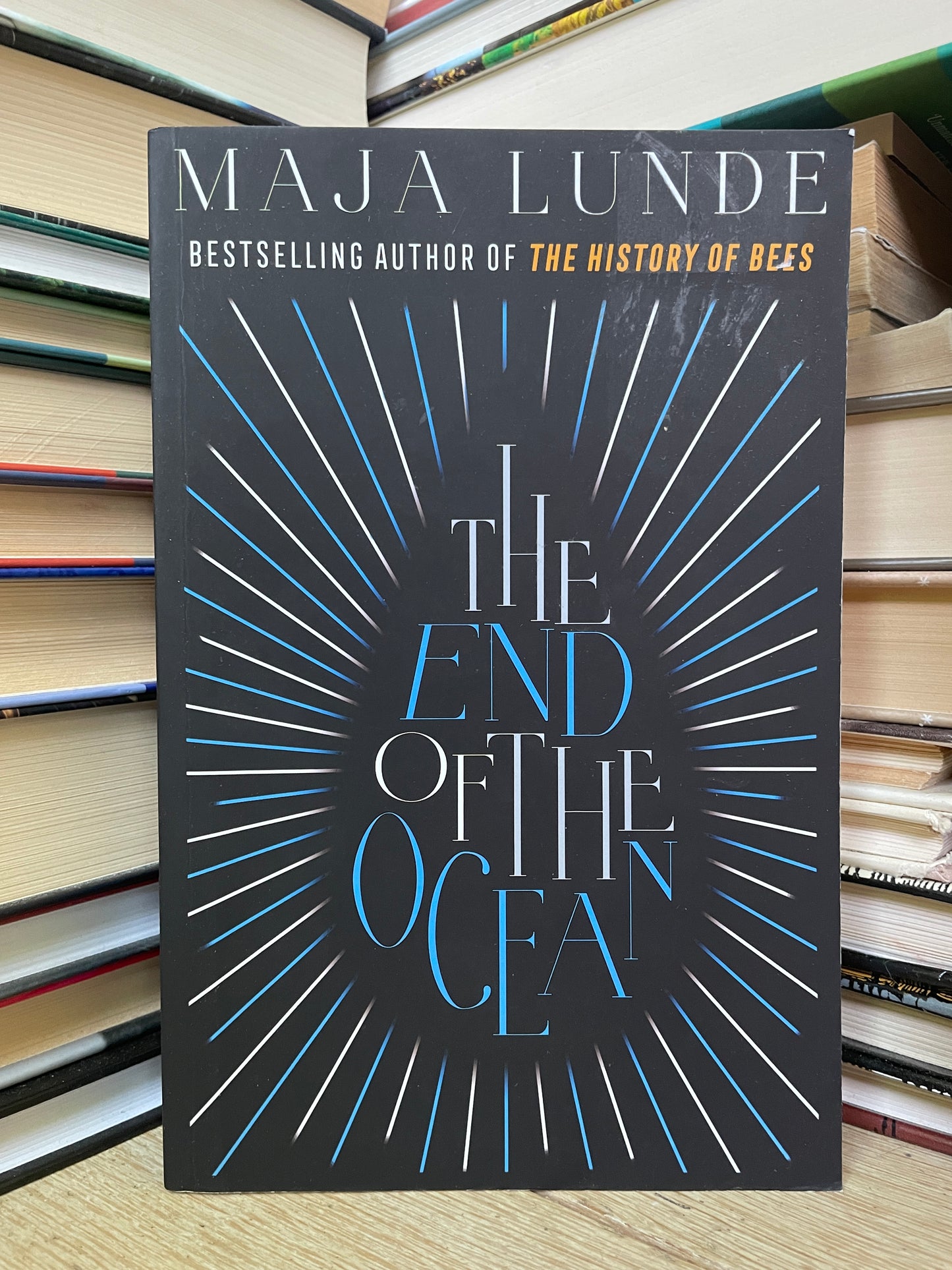 Maja Lunde - The End of the Ocean