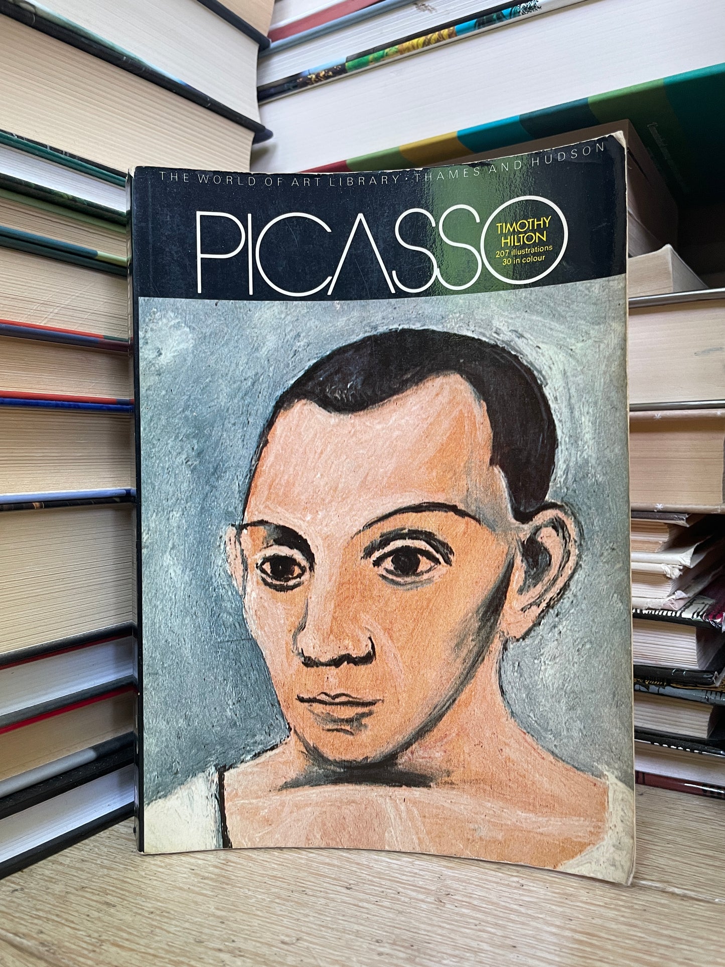 Timothy Hilton - Picasso