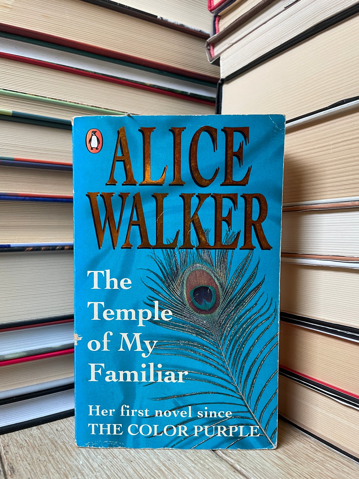 Alice Walker - The Temple of My Familiar