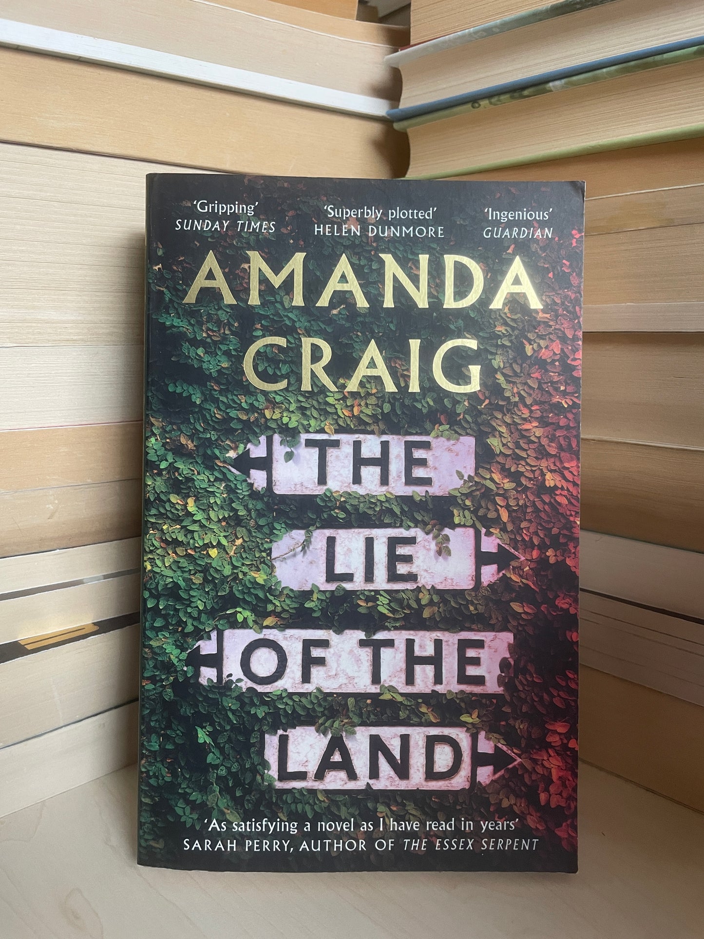 Amanda Craig - The Lie of the Land