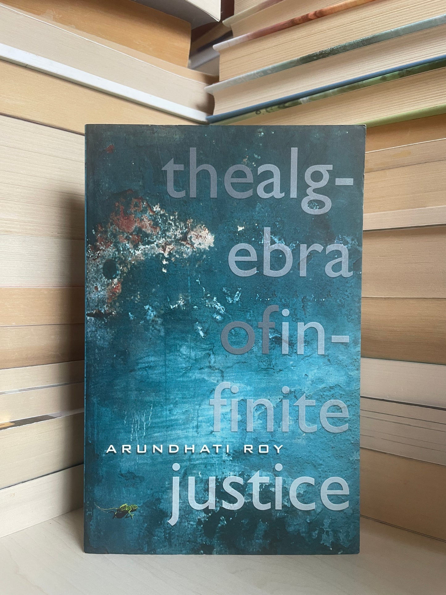 Arundhati Roy - The Algebra of Infinite Justice