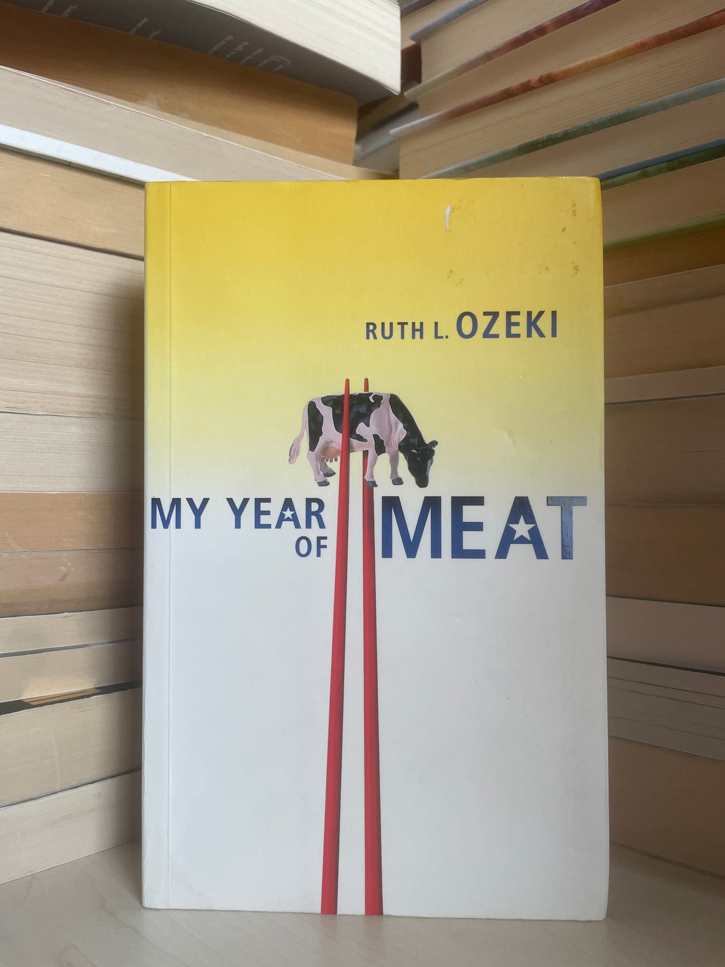 Ruth Ozeki - My Year of Meat