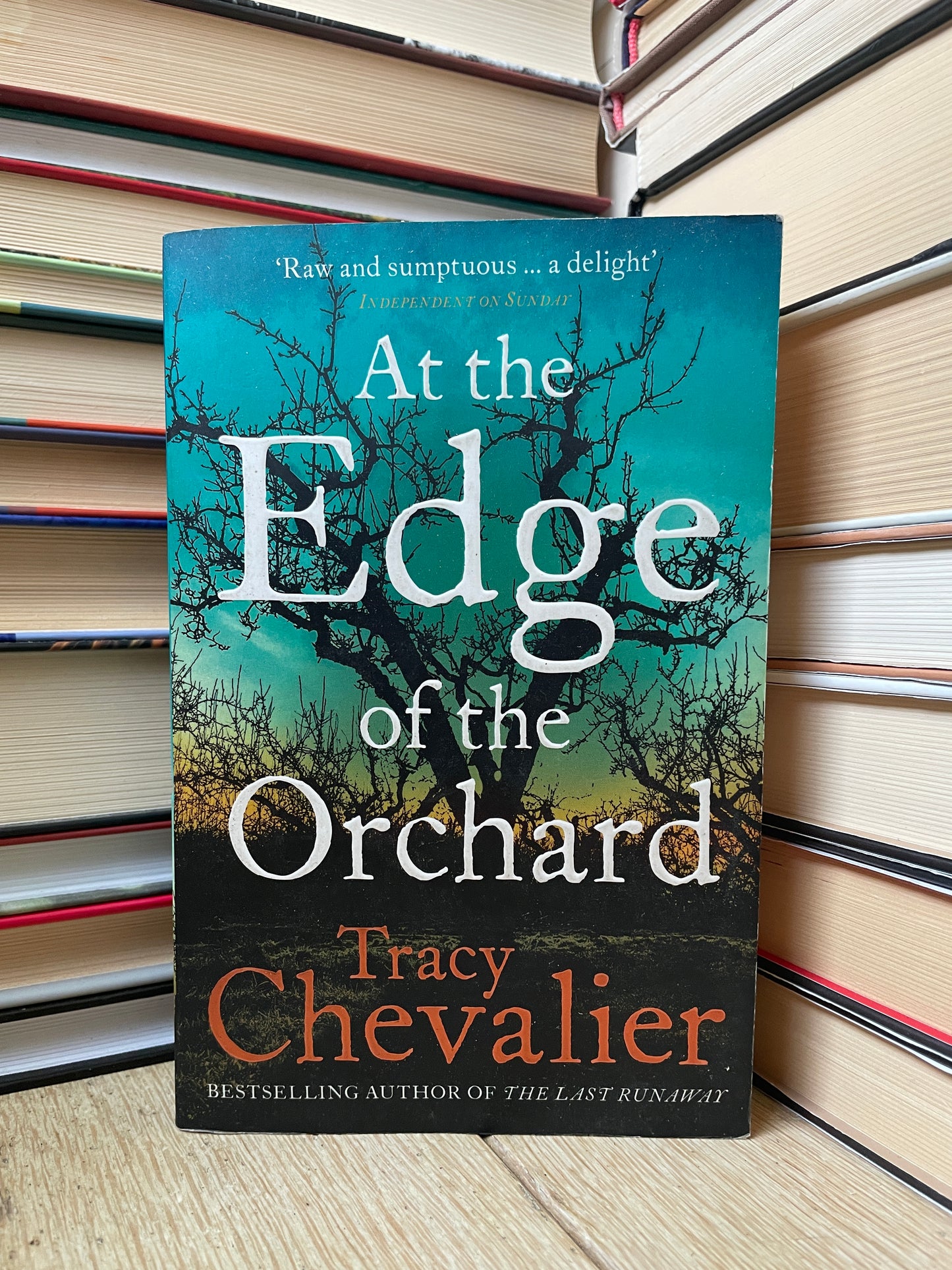 Tracy Chevalier - At the Edge of the Orchard