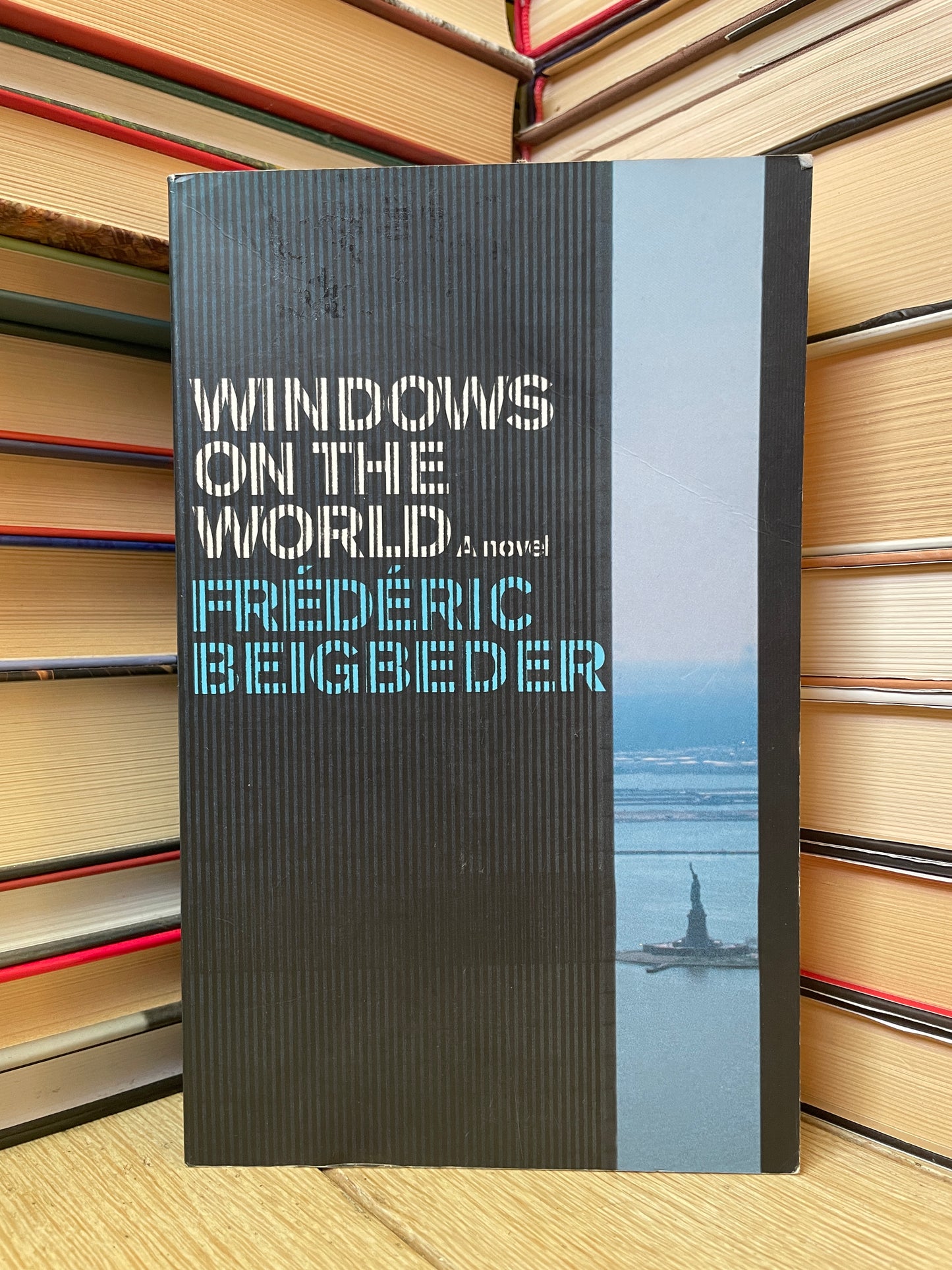 Frederic Beigbeder - Windows on the World