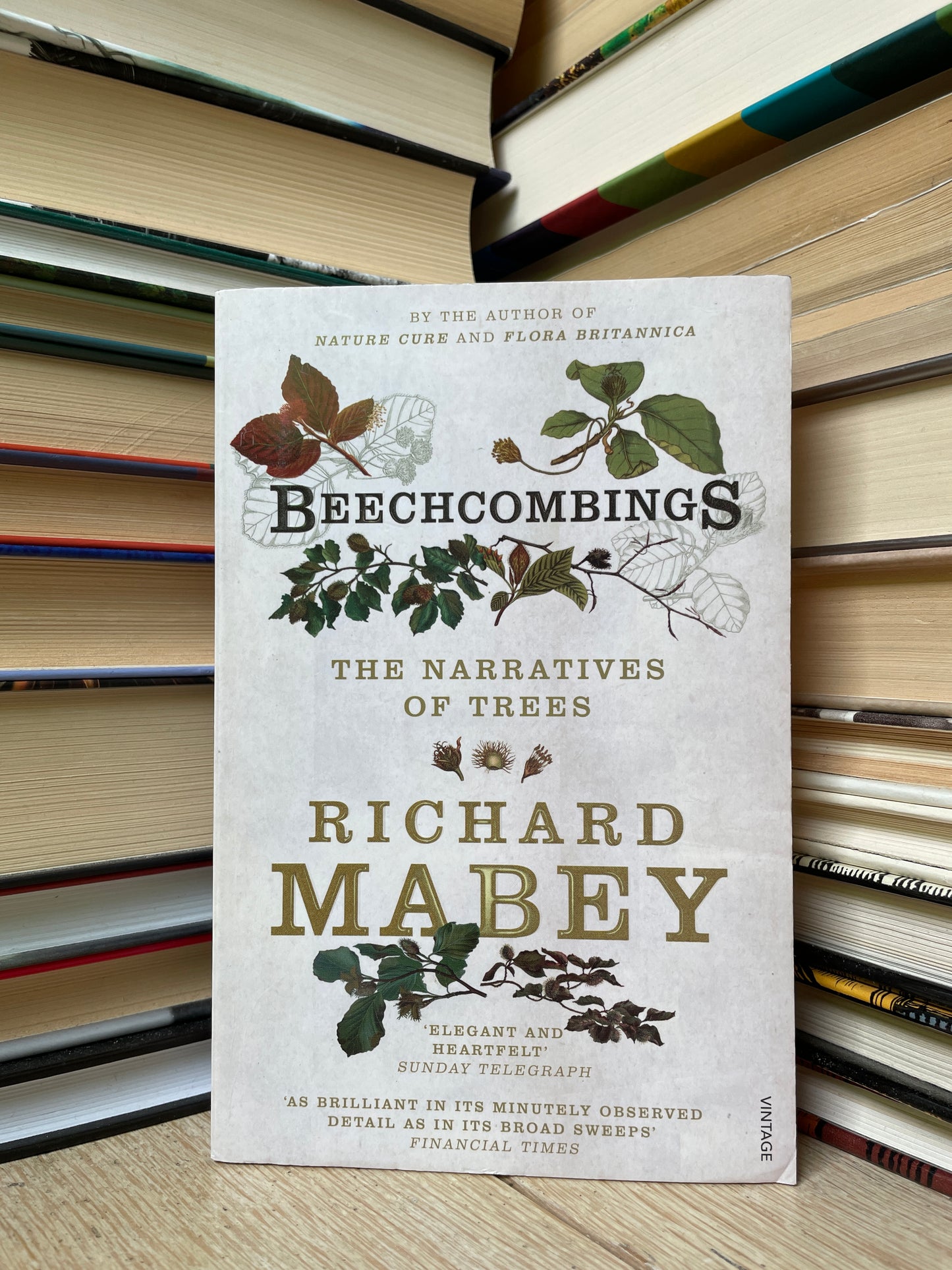 Richard Mabey - Beechcombings