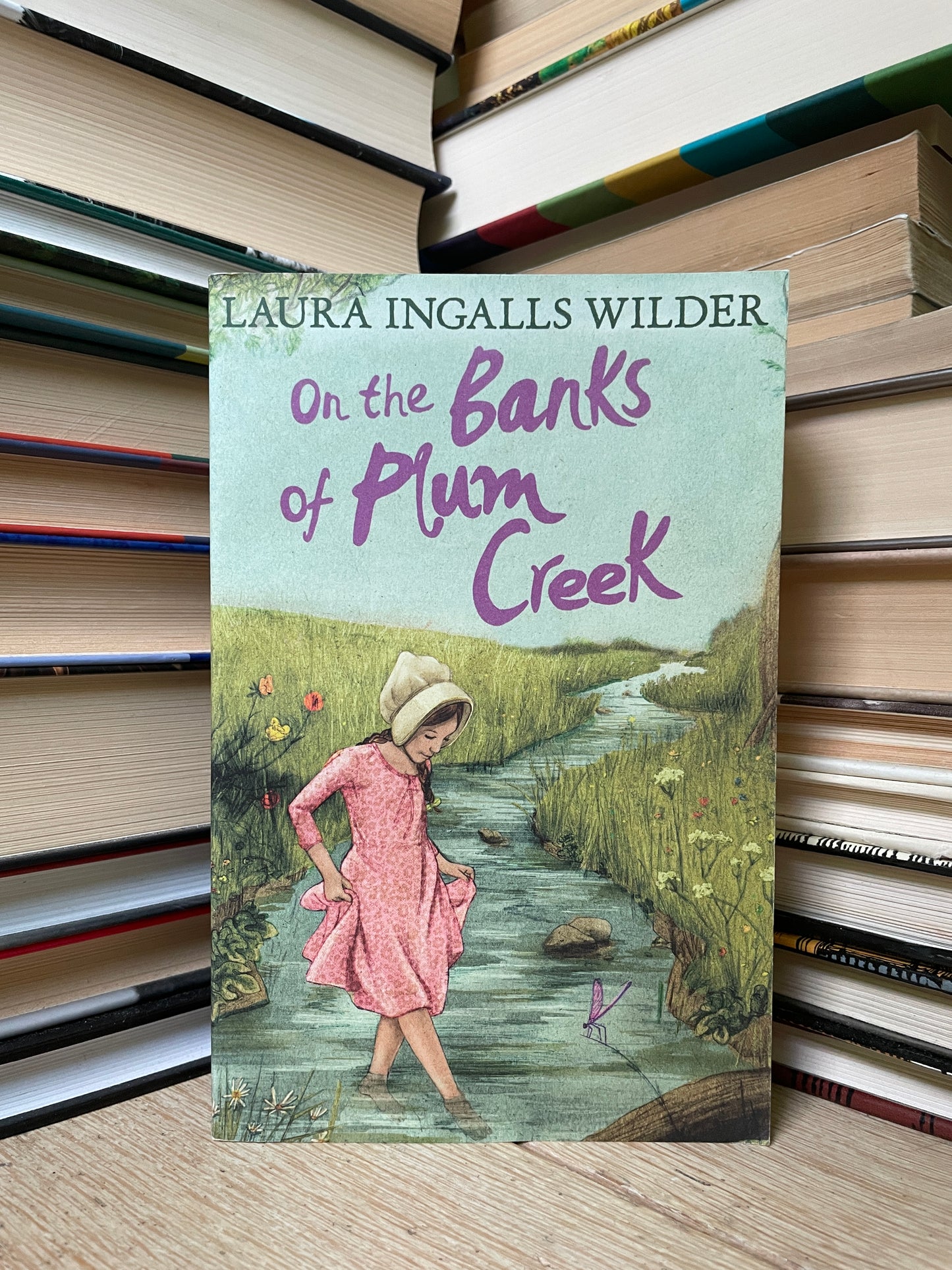 Laura Ingalls Wilder - On the Banks of Plum Creek