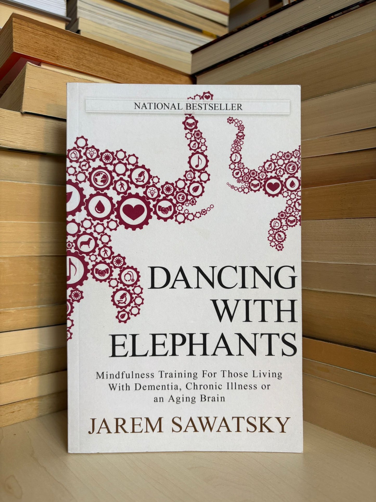 Jarem Sawatsky - Dancing With the Elephants