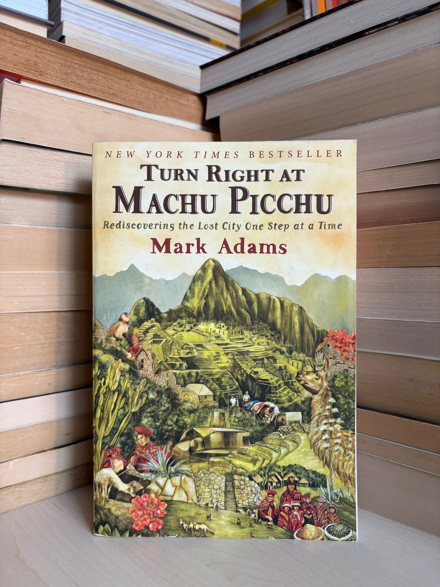 Mark Adams - Turn Right at Machu Picchu