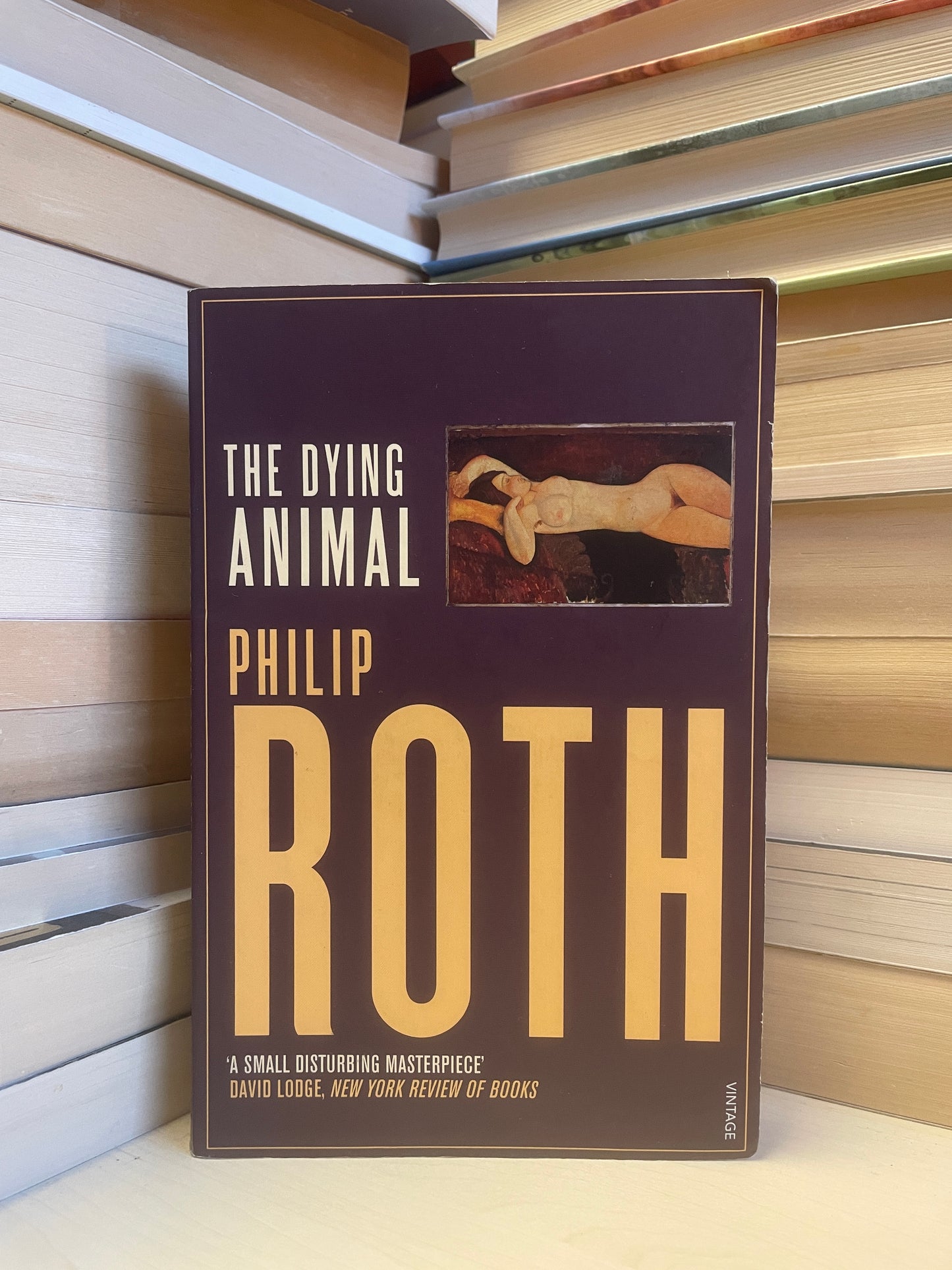 Philip Roth - The Dying Animal