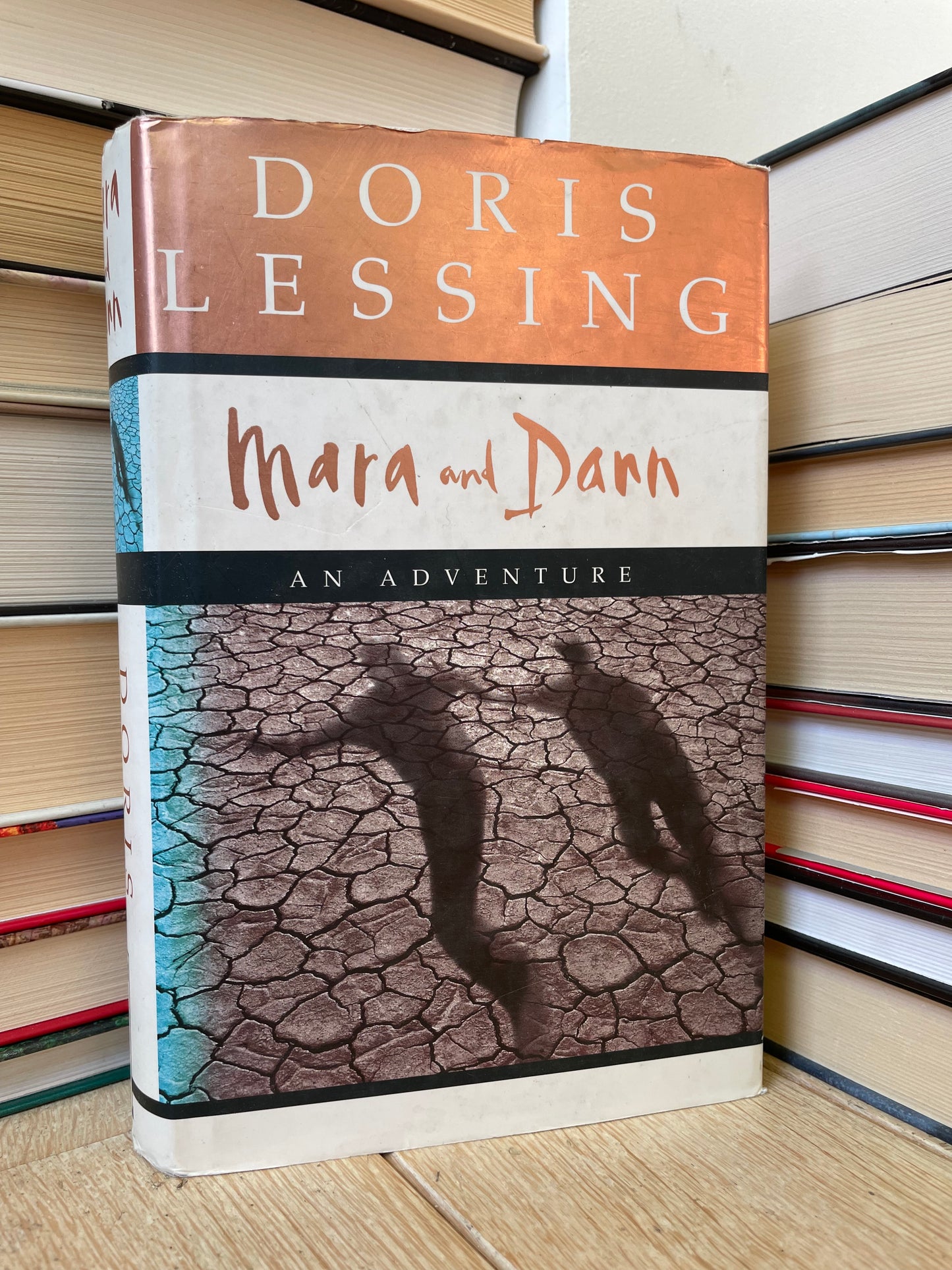 Doris Lessing - Mara and Dann