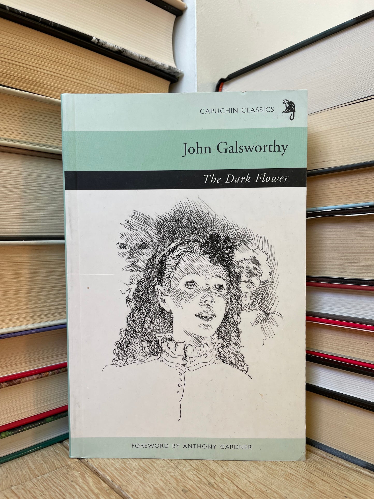 John Galsworthy - The Dark Flower